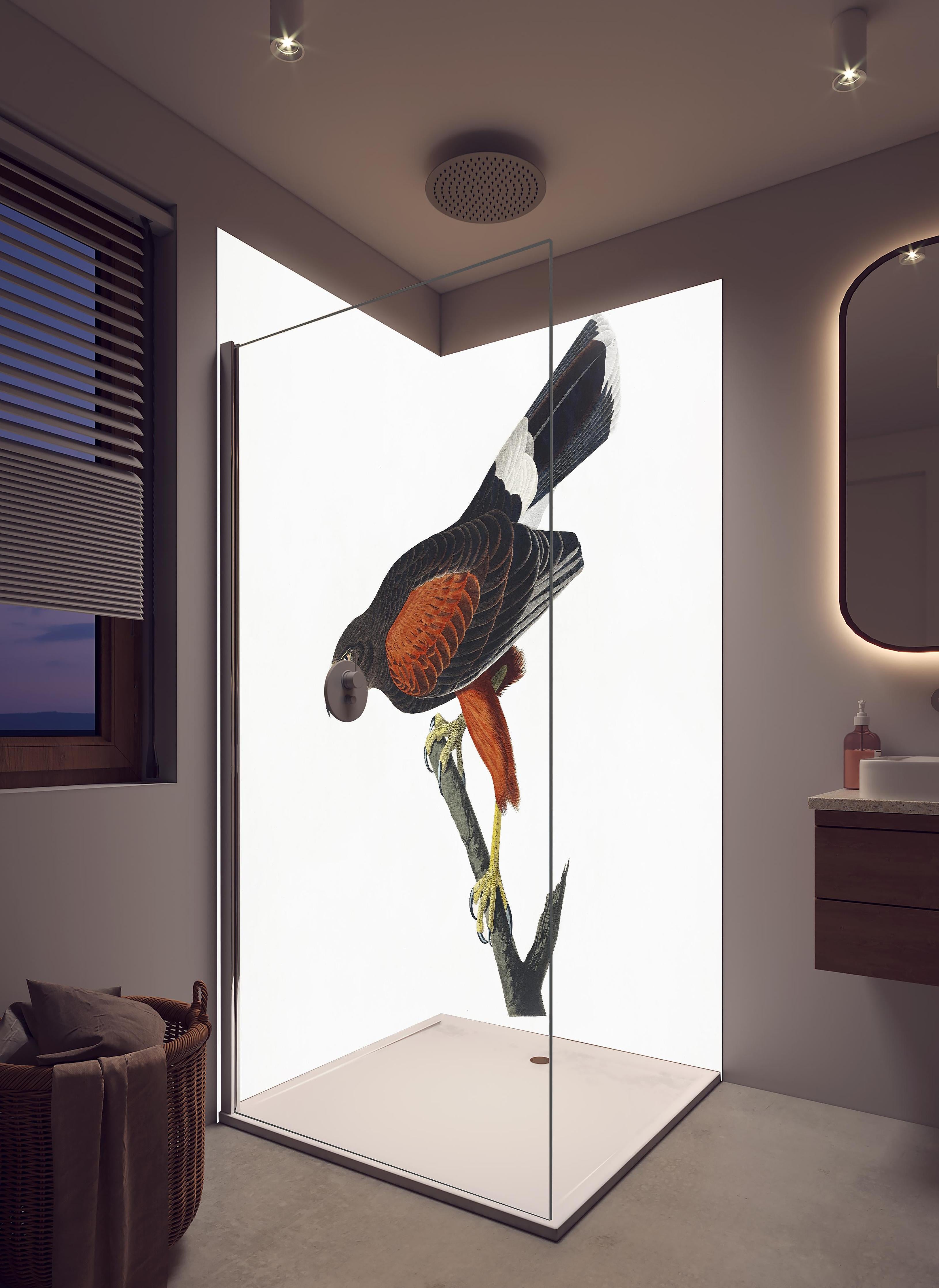 Duschrückwand - Falken Portrait - John James Audubon in hellem Badezimmer mit Regenduschkopf - zweiteilige Eck-Duschrückwand