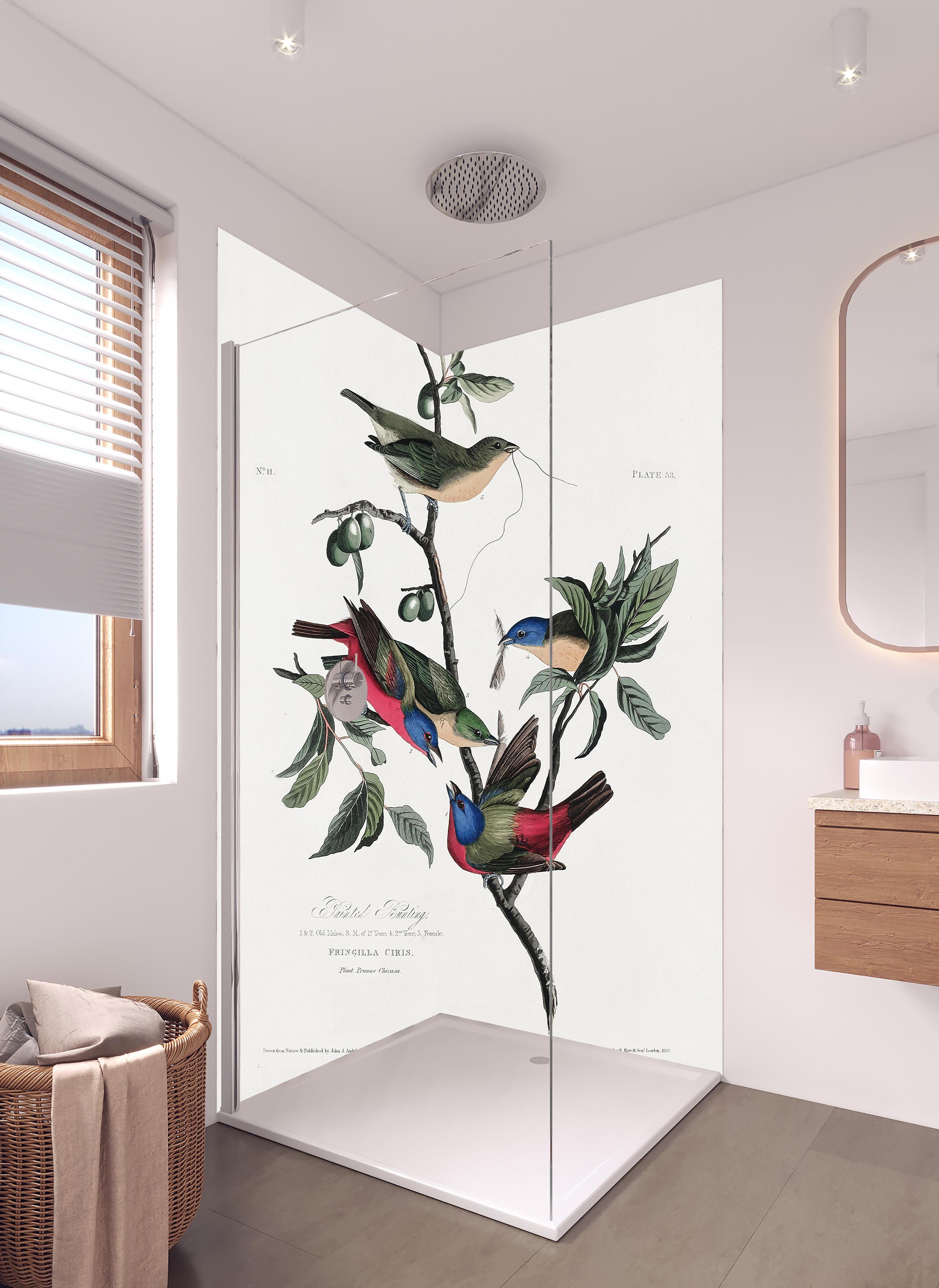 Duschrückwand - Fink Portrait - John James Audubon in hellem Badezimmer mit Regenduschkopf - zweiteilige Eck-Duschrückwand