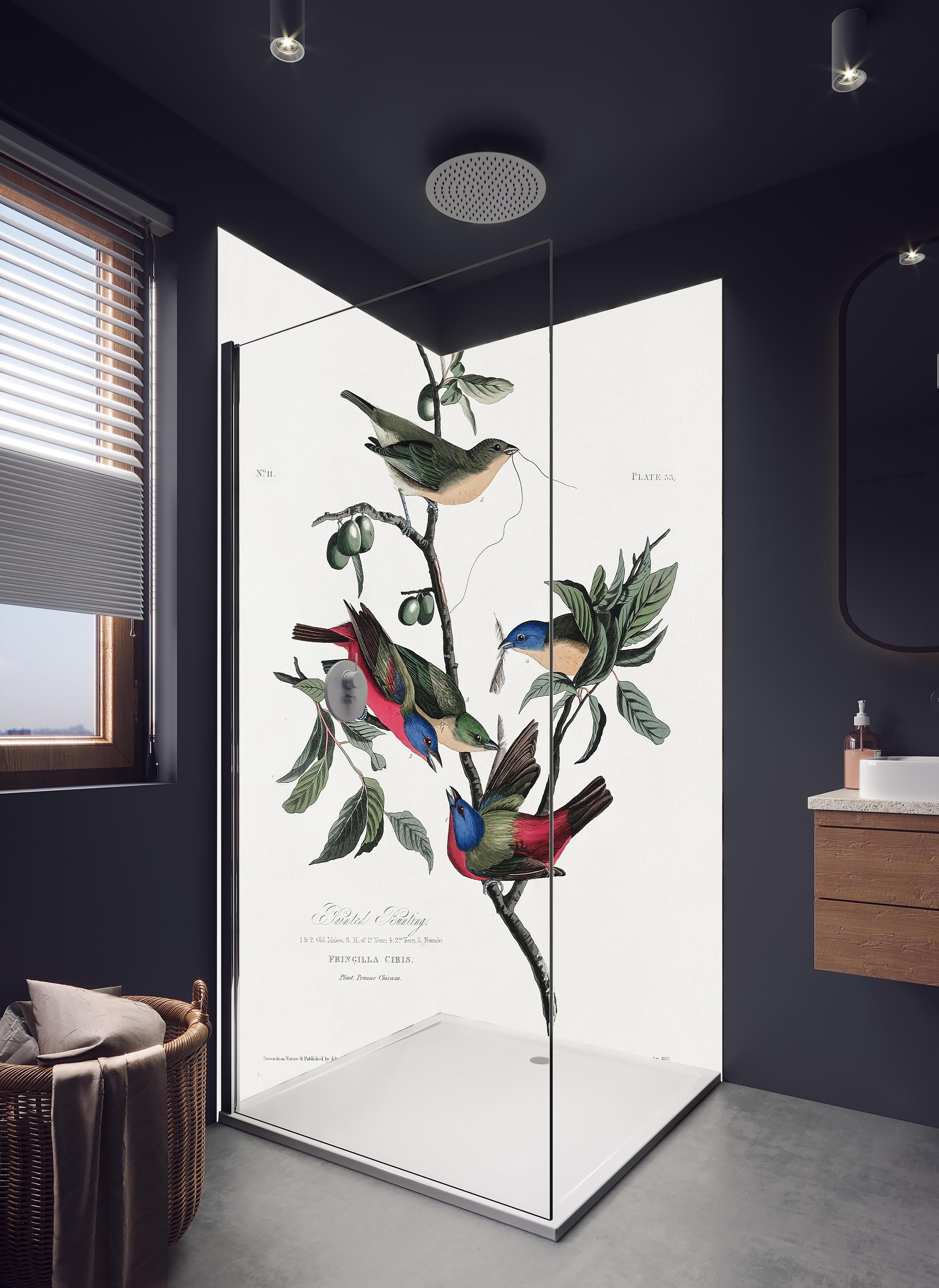 Duschrückwand - Fink Portrait - John James Audubon in hellem Badezimmer mit Regenduschkopf - zweiteilige Eck-Duschrückwand