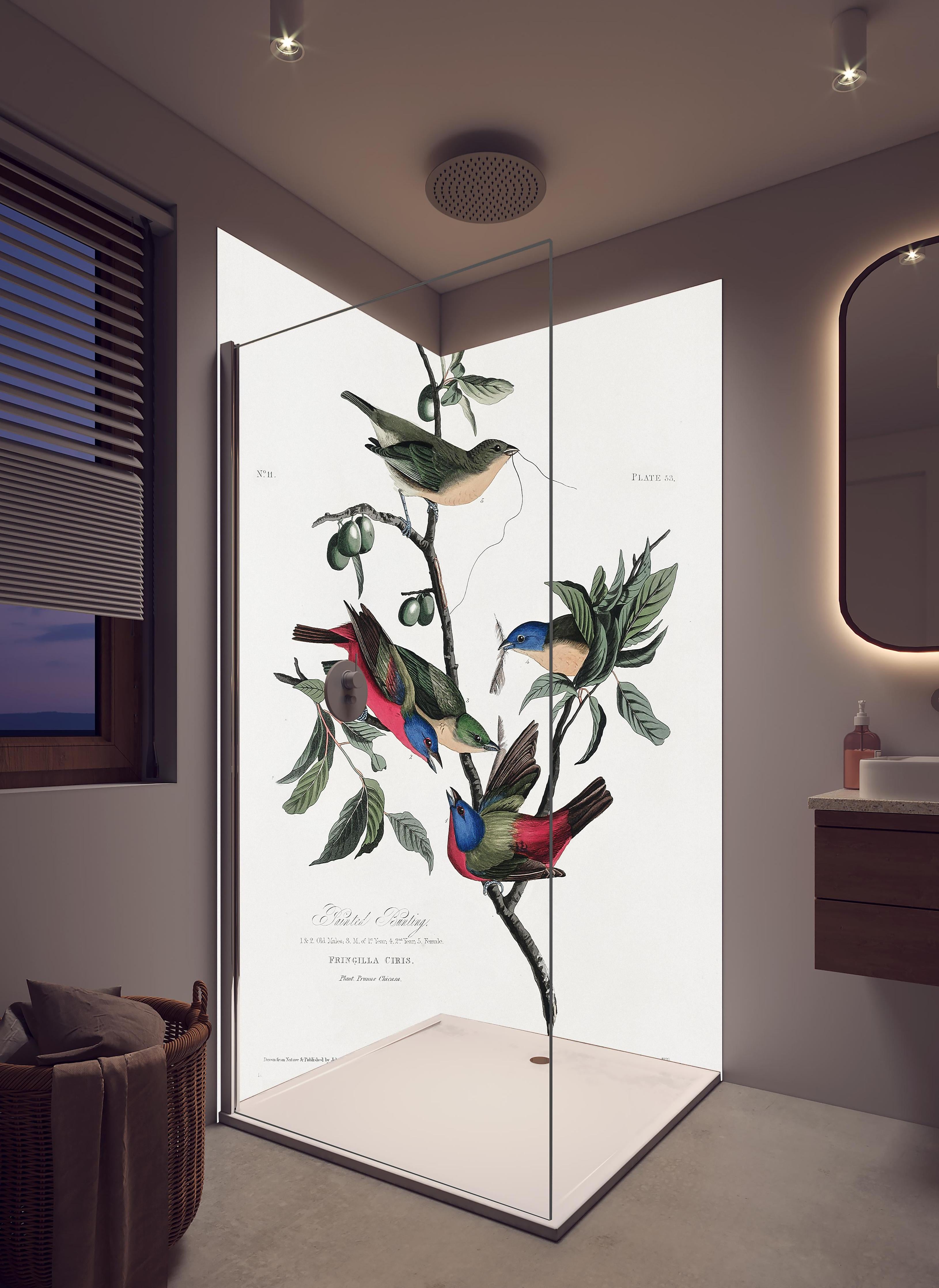 Duschrückwand - Fink Portrait - John James Audubon in hellem Badezimmer mit Regenduschkopf - zweiteilige Eck-Duschrückwand