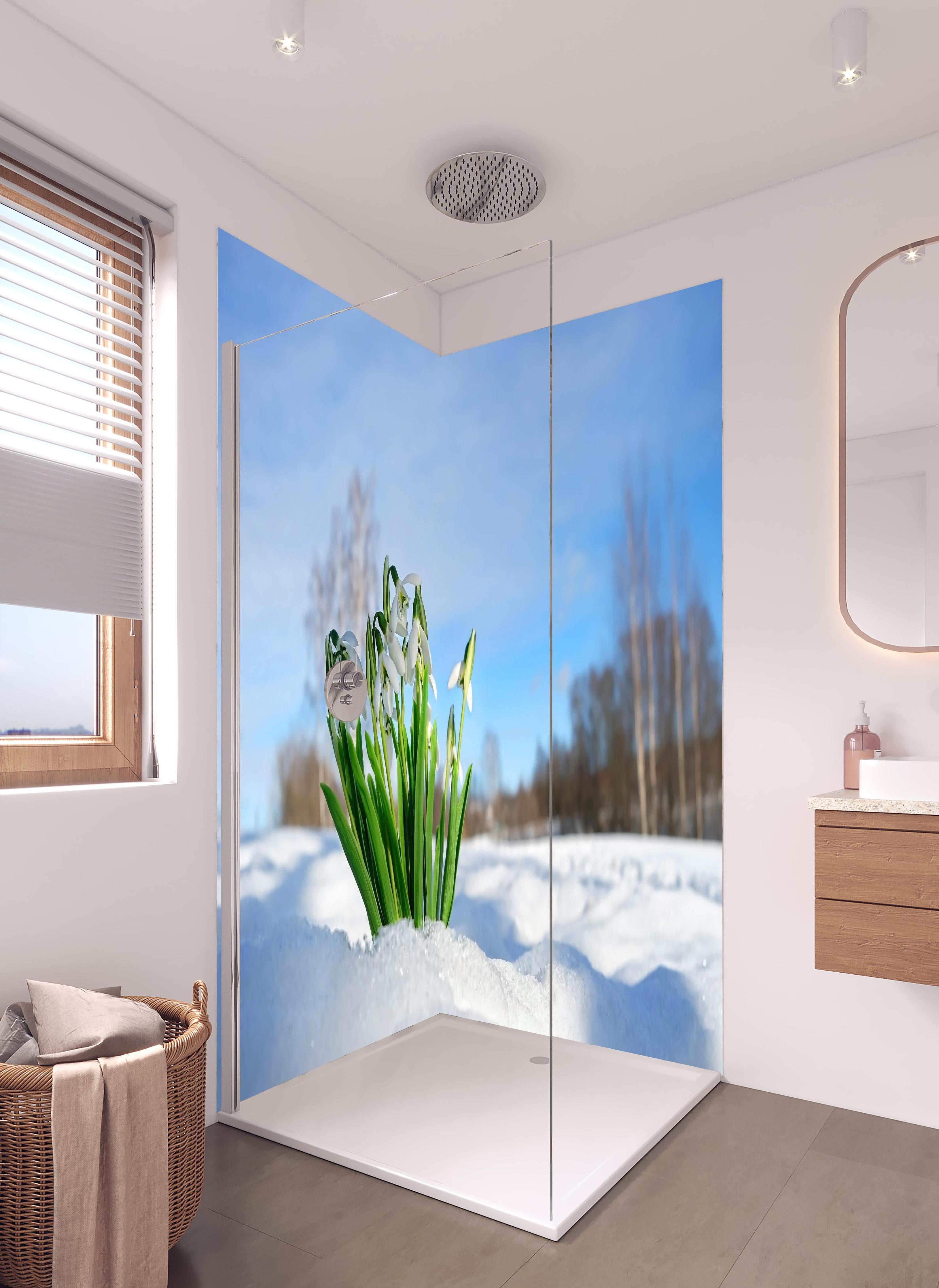 Duschrückwand - Frühlingsblumen durchbrechen Schneedecke in hellem Badezimmer mit Regenduschkopf - zweiteilige Eck-Duschrückwand