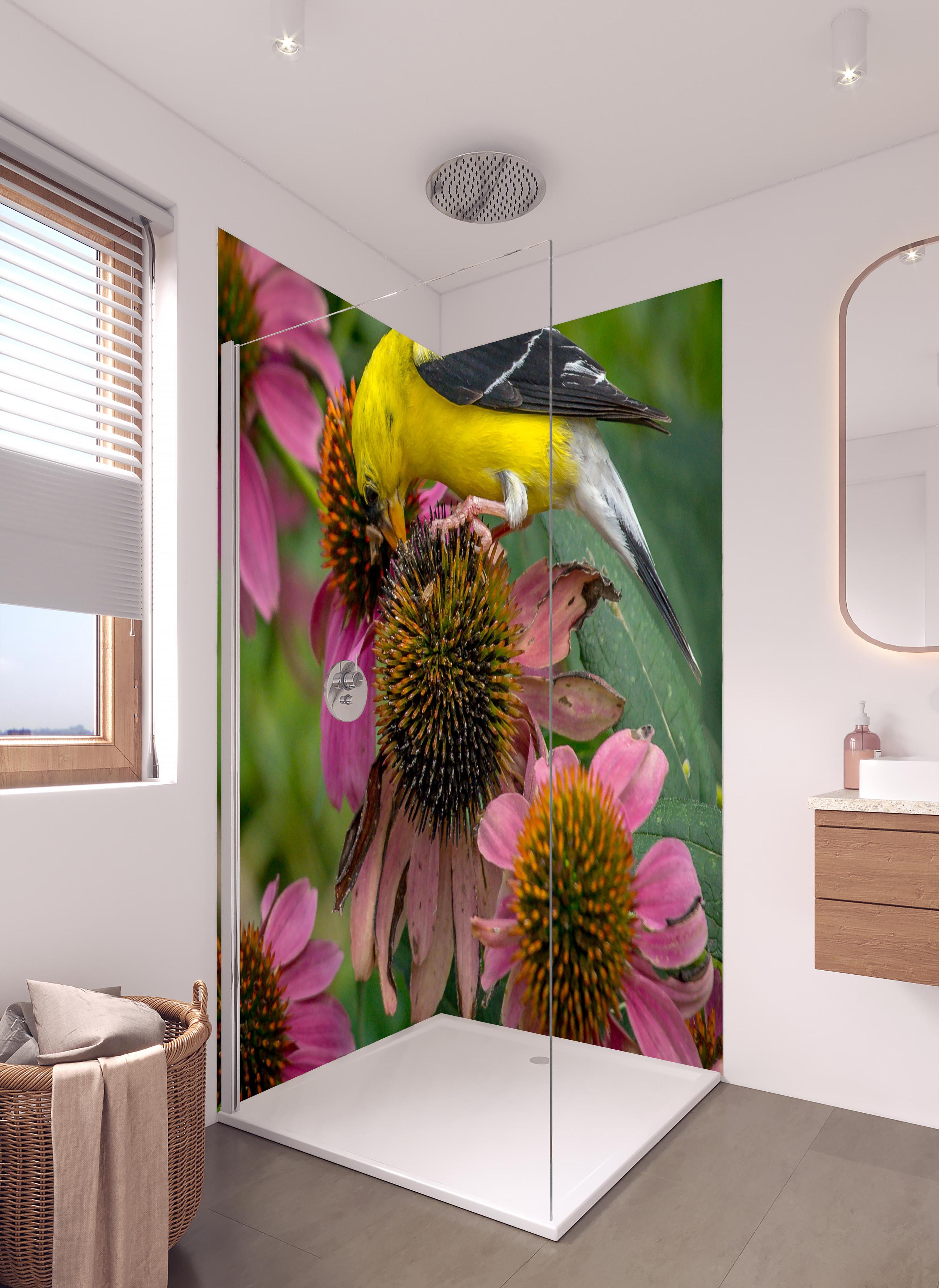 Duschrückwand - Gelber Vogel Genießt Nektar Pinker Blüten in hellem Badezimmer mit Regenduschkopf - zweiteilige Eck-Duschrückwand