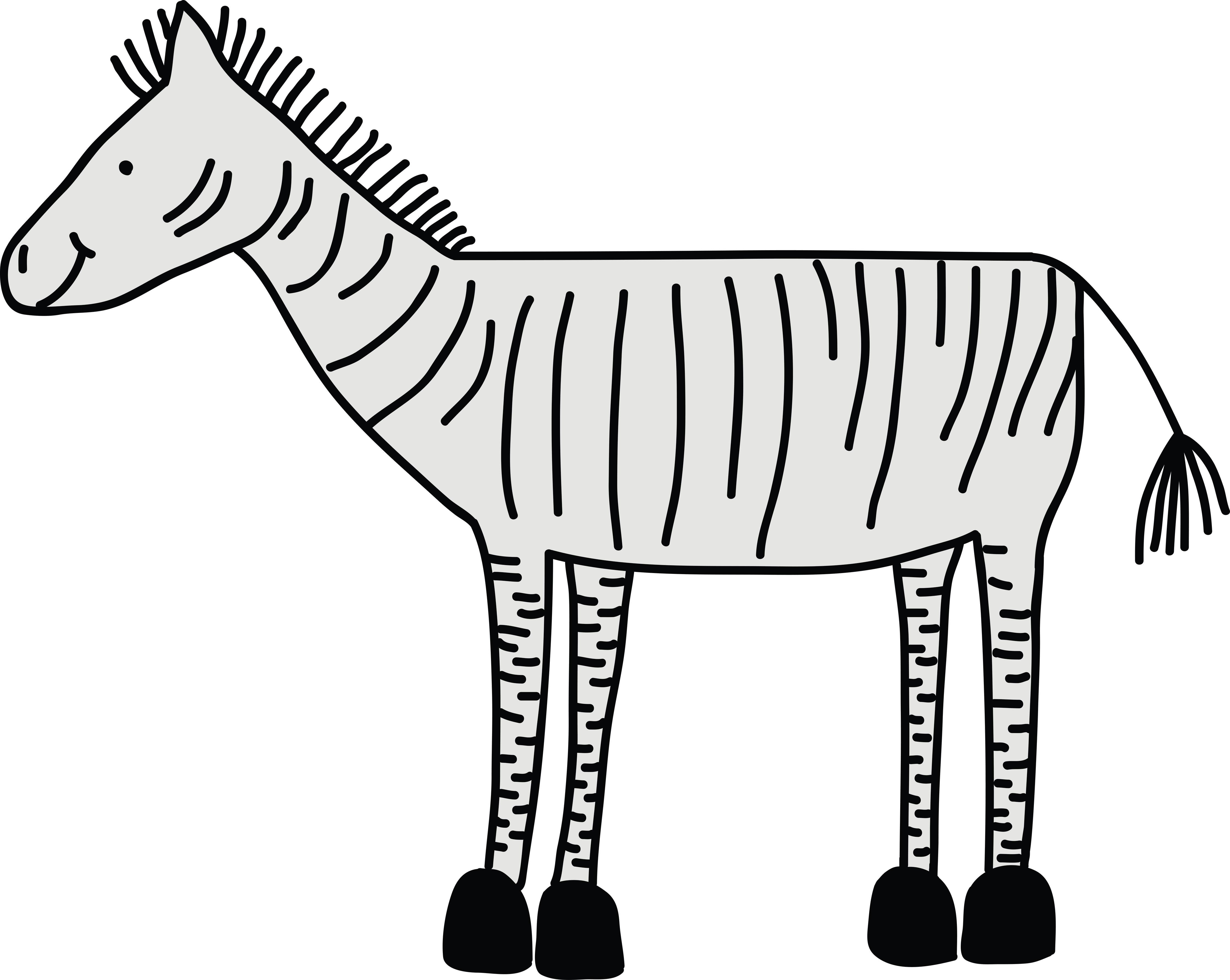 Duschrückwand-Gezeichnete Schwarz-Weiße Zebrafigur