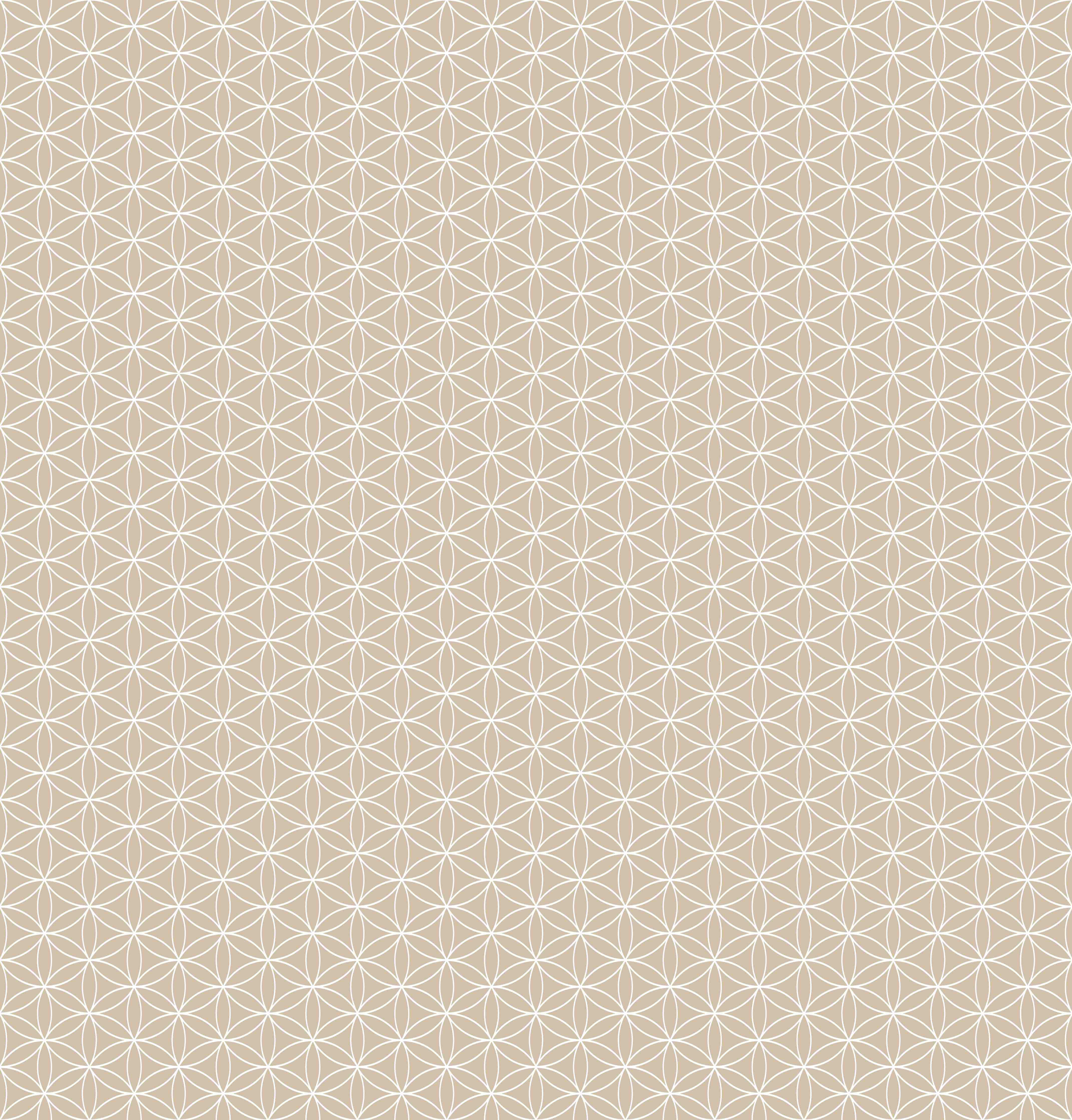 Duschrückwand-Graue Weißmuster in geometrischer Form