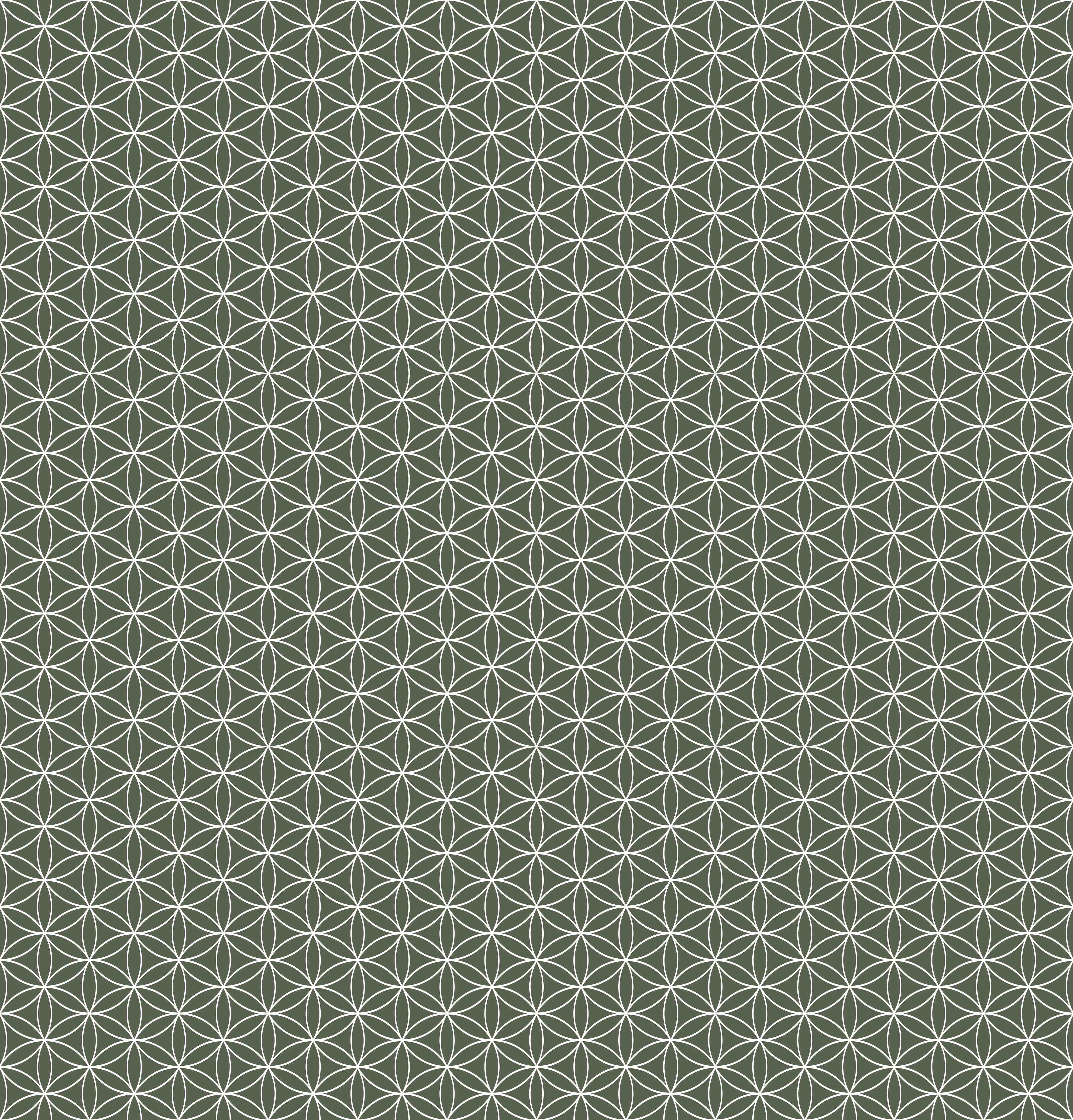Duschrückwand-Graue und weiße Geometrien