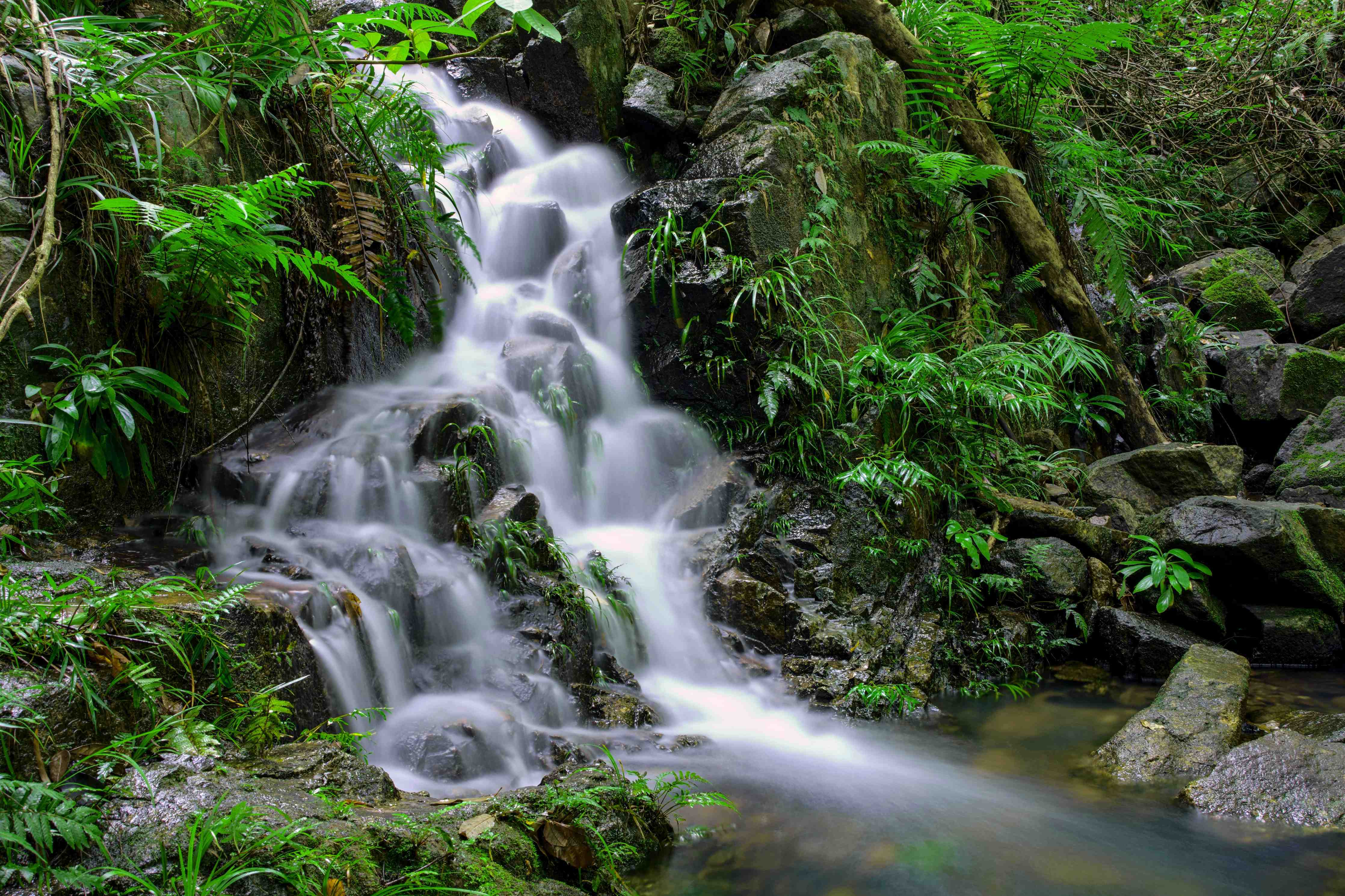 Duschrückwand-Grauer Wasserfall im Dschungel