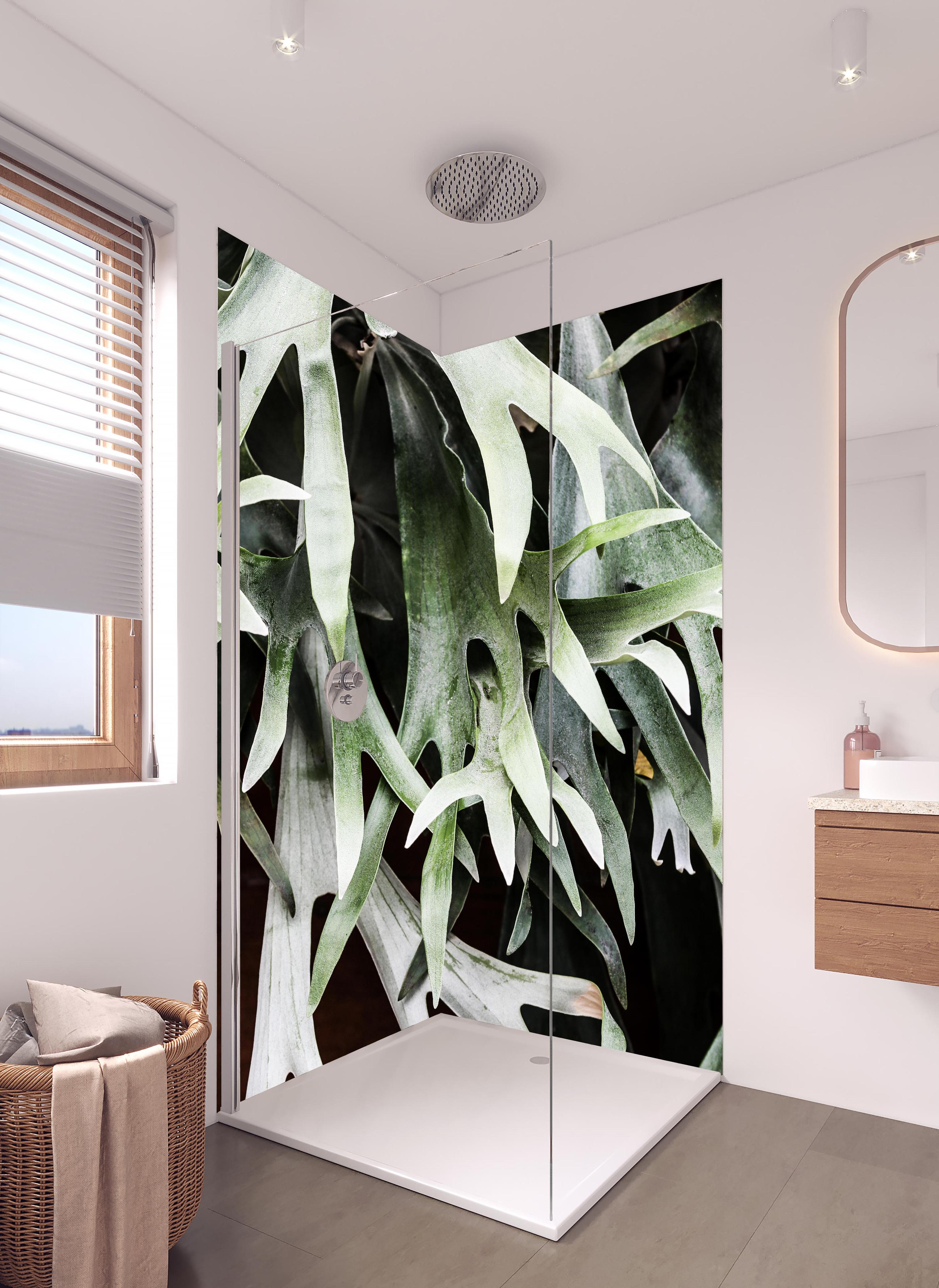 Duschrückwand - Grün-Graues Staghorn Farngewächs Makroaufnahme in hellem Badezimmer mit Regenduschkopf - zweiteilige Eck-Duschrückwand