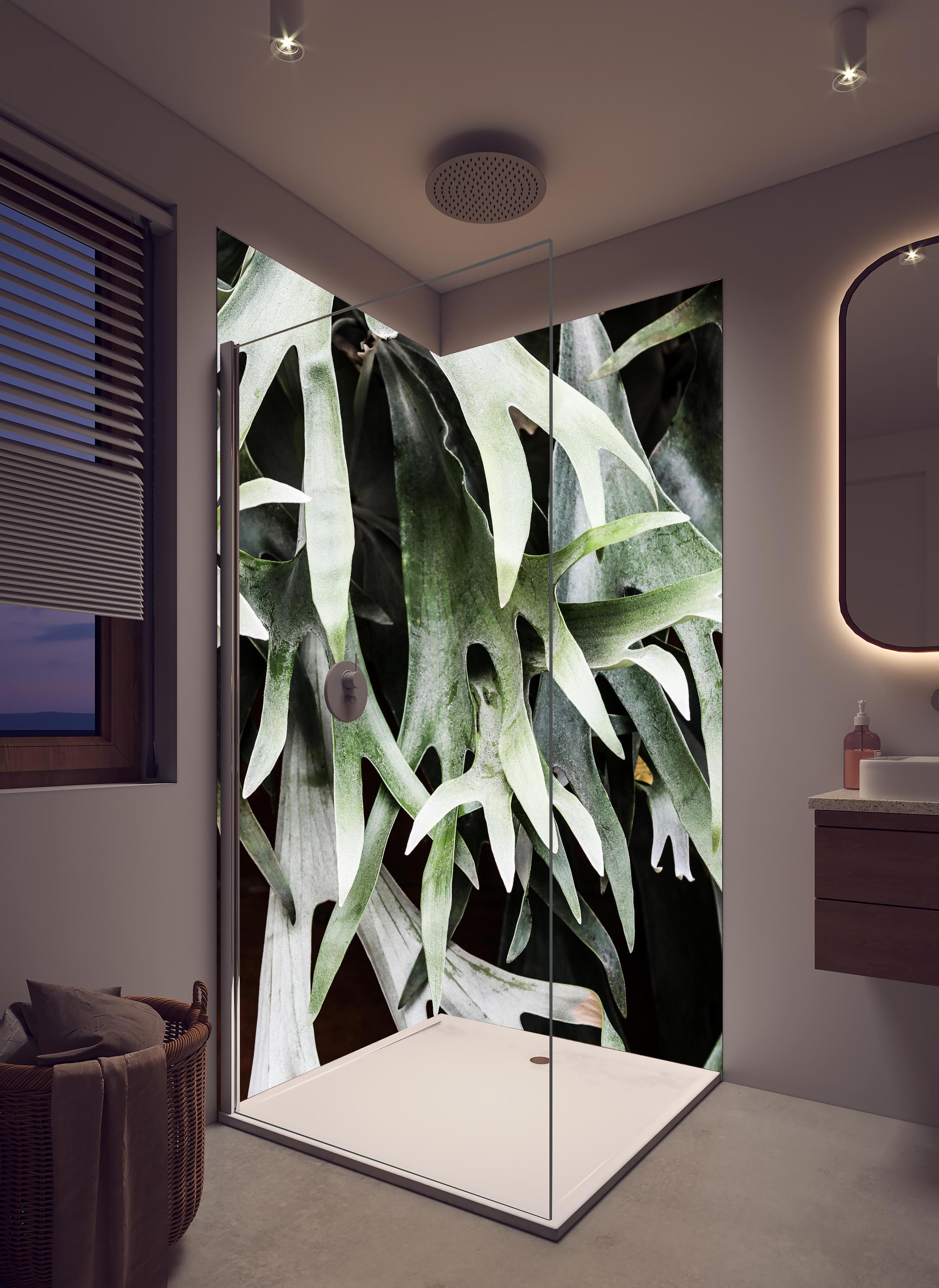 Duschrückwand - Grün-Graues Staghorn Farngewächs Makroaufnahme in hellem Badezimmer mit Regenduschkopf - zweiteilige Eck-Duschrückwand