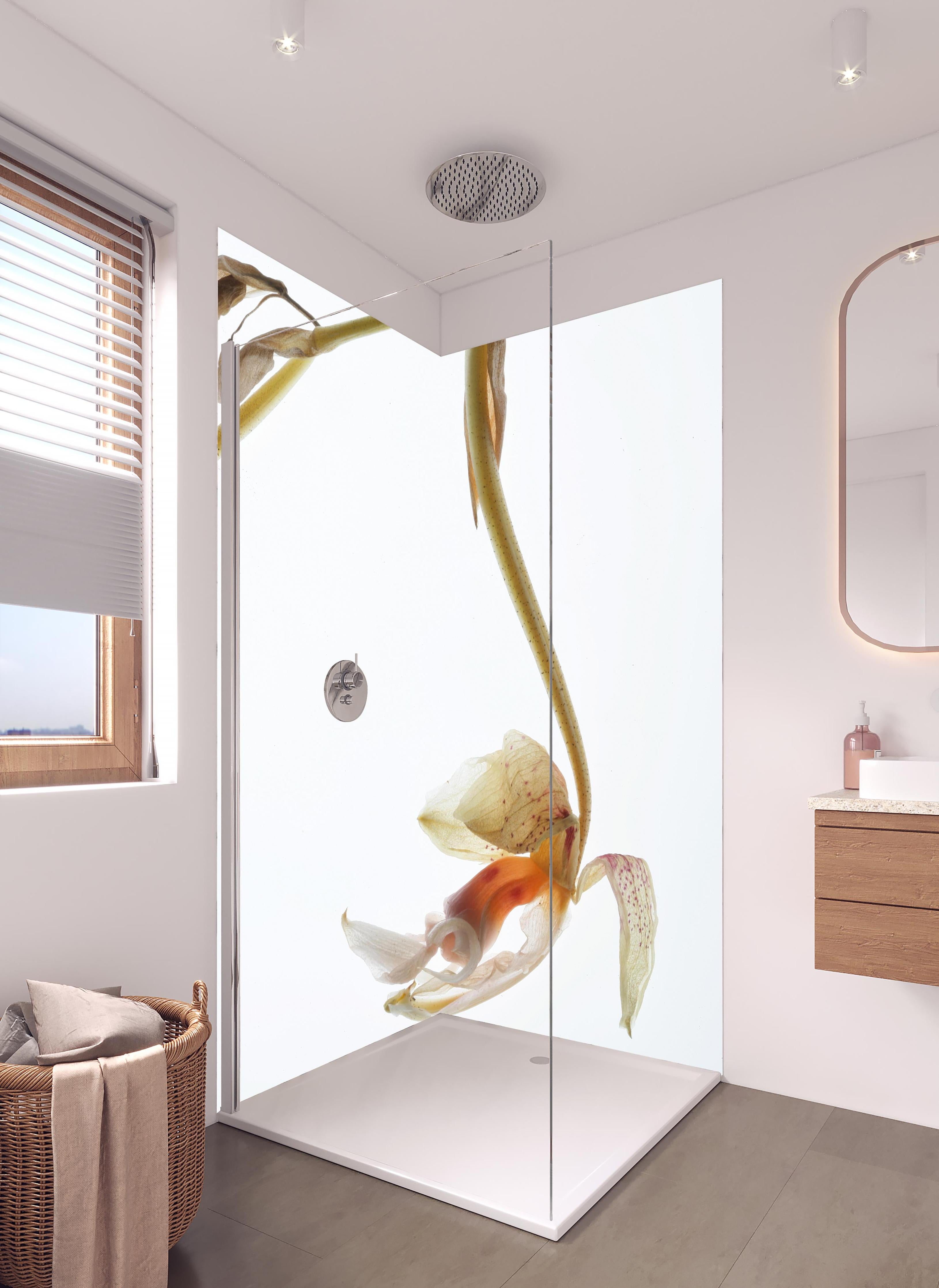 Duschrückwand - Helle Blume - Nahaufnahme in hellem Badezimmer mit Regenduschkopf - zweiteilige Eck-Duschrückwand