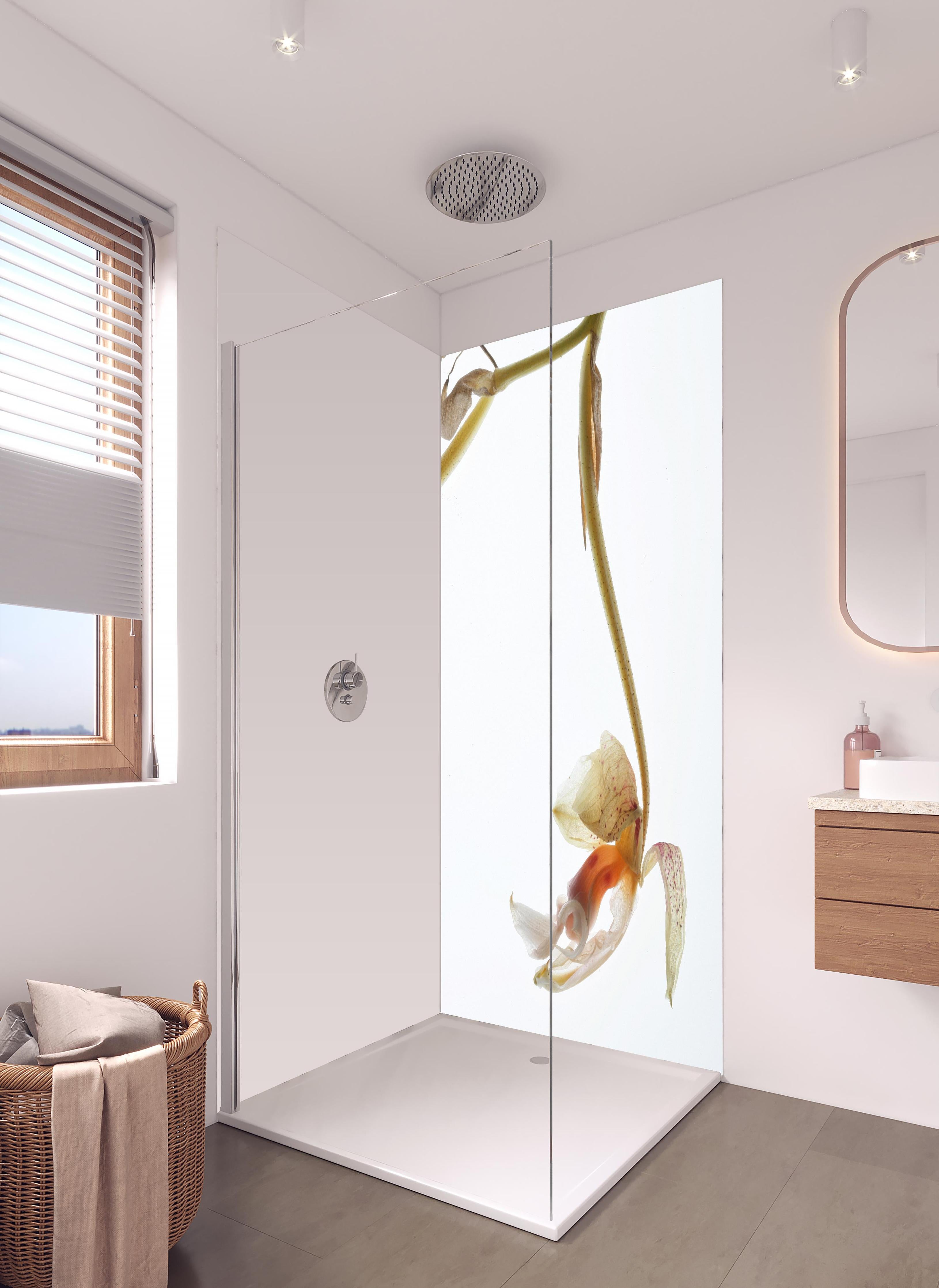 Duschrückwand - Helle Blume - Nahaufnahme in hellem Badezimmer mit Regenduschkopf - zweiteilige Eck-Duschrückwand