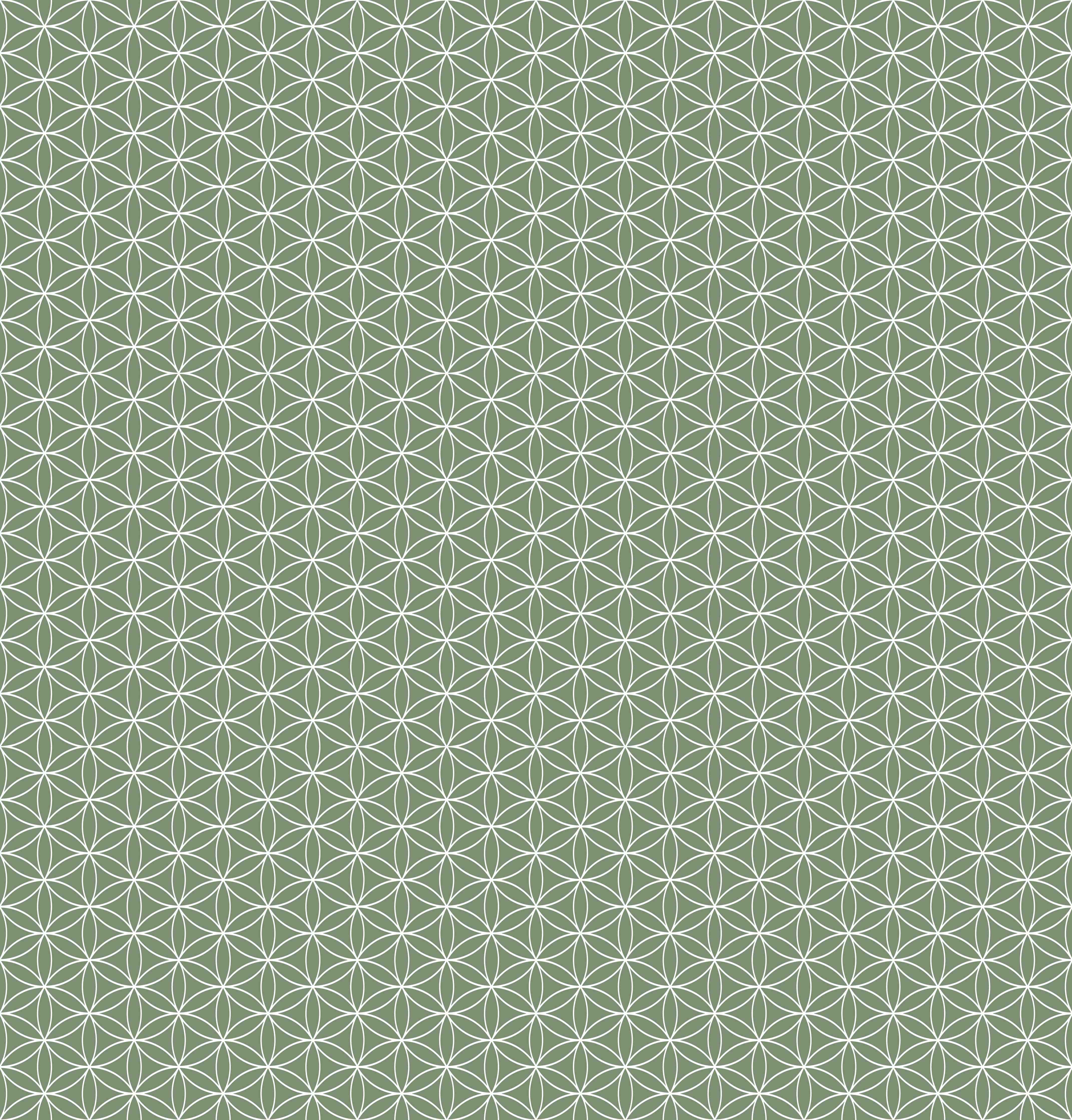 Duschrückwand-Hellgrüne geometrische Mustererscheinung