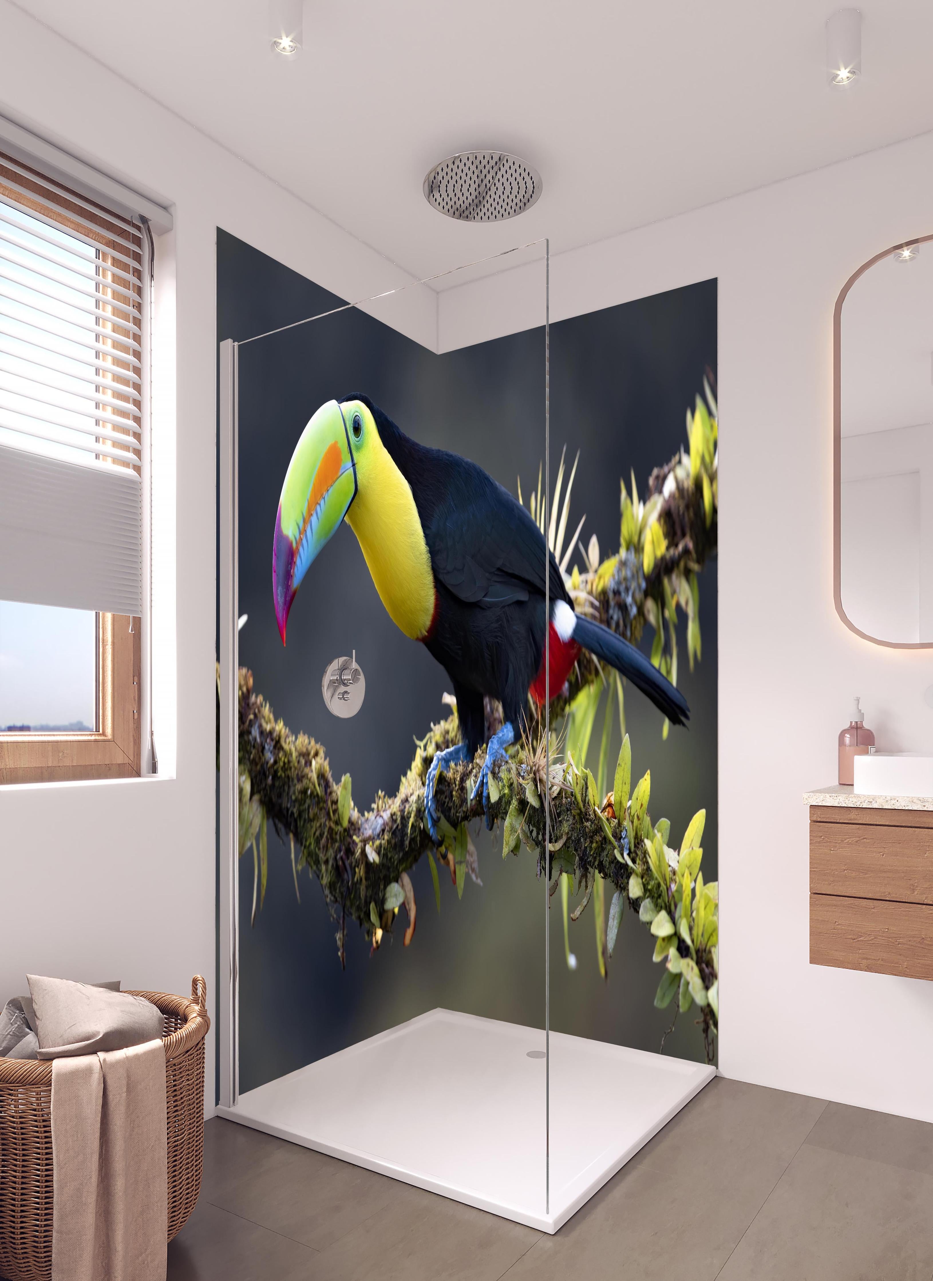 Duschrückwand - Kielschnabeltukan auf Ast in hellem Badezimmer mit Regenduschkopf - zweiteilige Eck-Duschrückwand