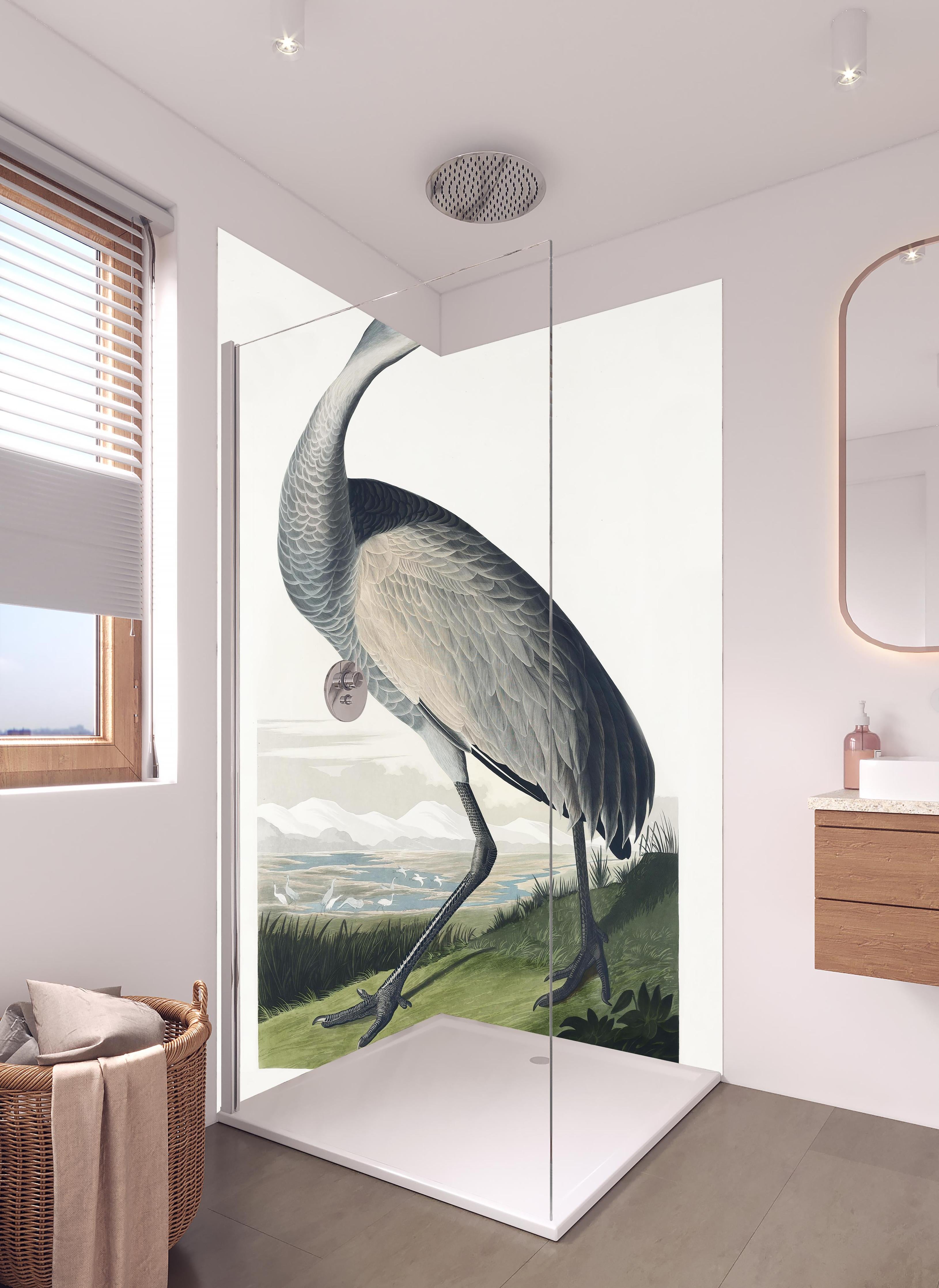 Duschrückwand - Kranisch Portrait - Robert Havell in hellem Badezimmer mit Regenduschkopf - zweiteilige Eck-Duschrückwand