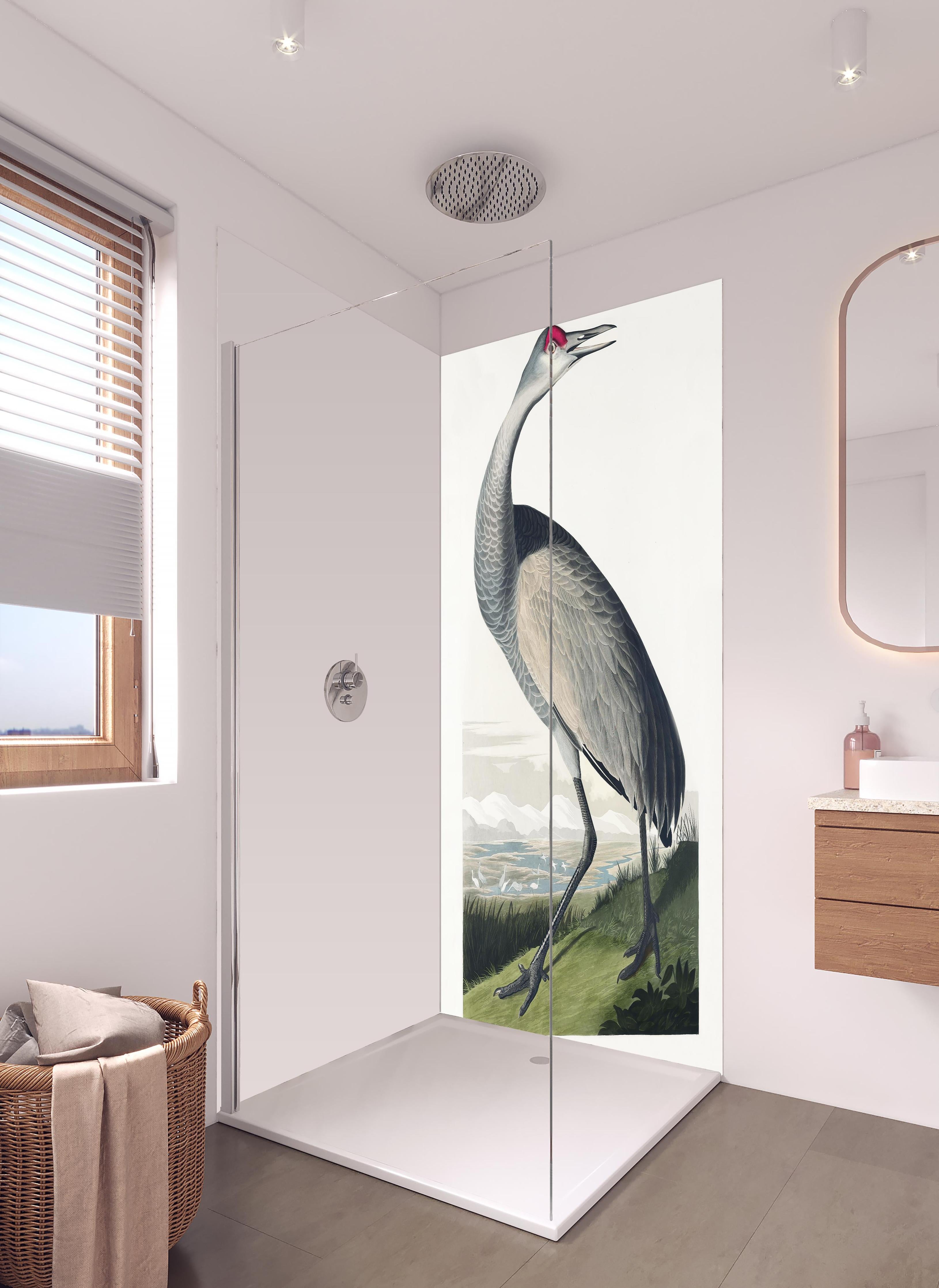 Duschrückwand - Kranisch Portrait - Robert Havell in hellem Badezimmer mit Regenduschkopf - zweiteilige Eck-Duschrückwand