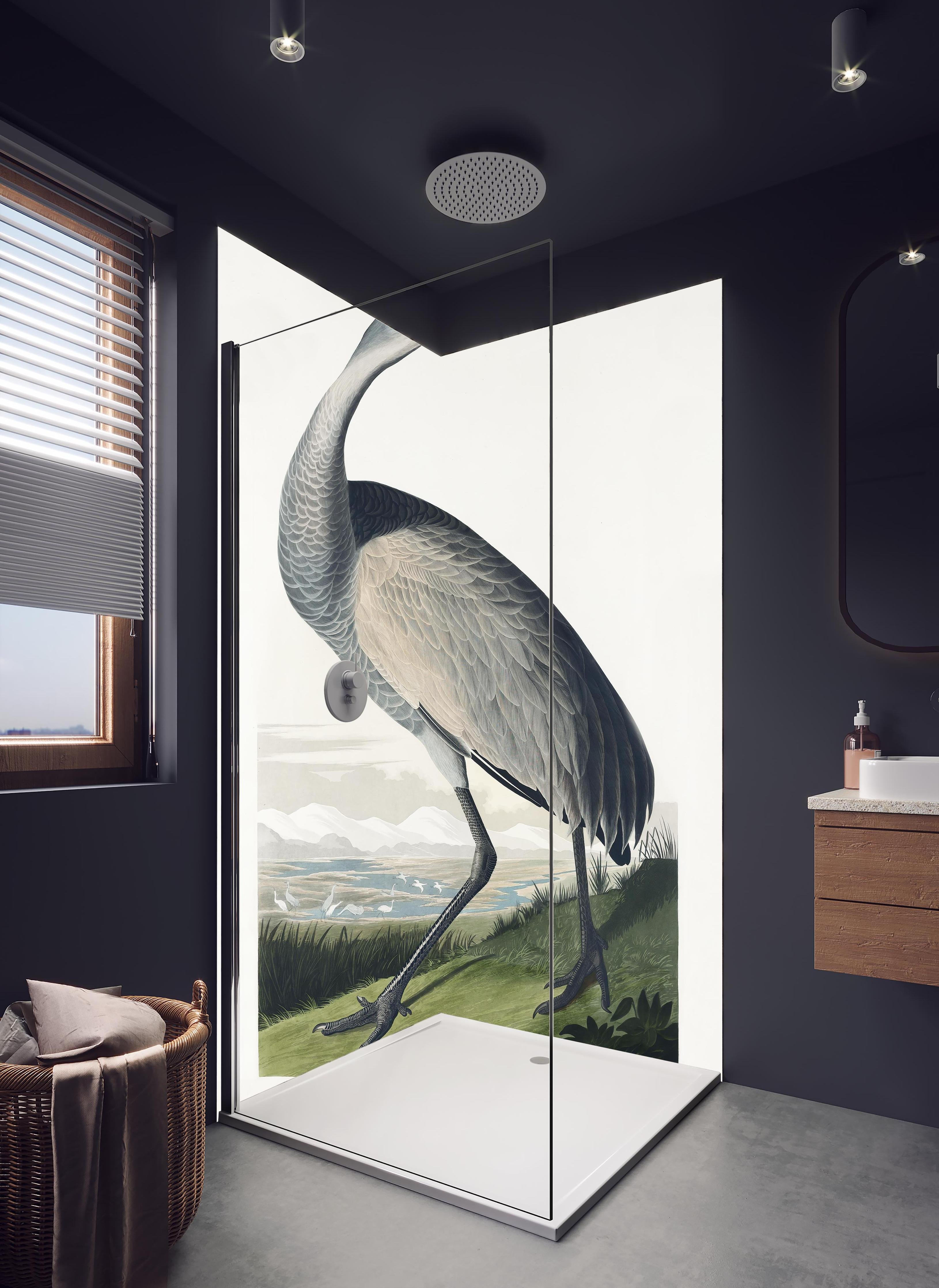 Duschrückwand - Kranisch Portrait - Robert Havell in hellem Badezimmer mit Regenduschkopf - zweiteilige Eck-Duschrückwand