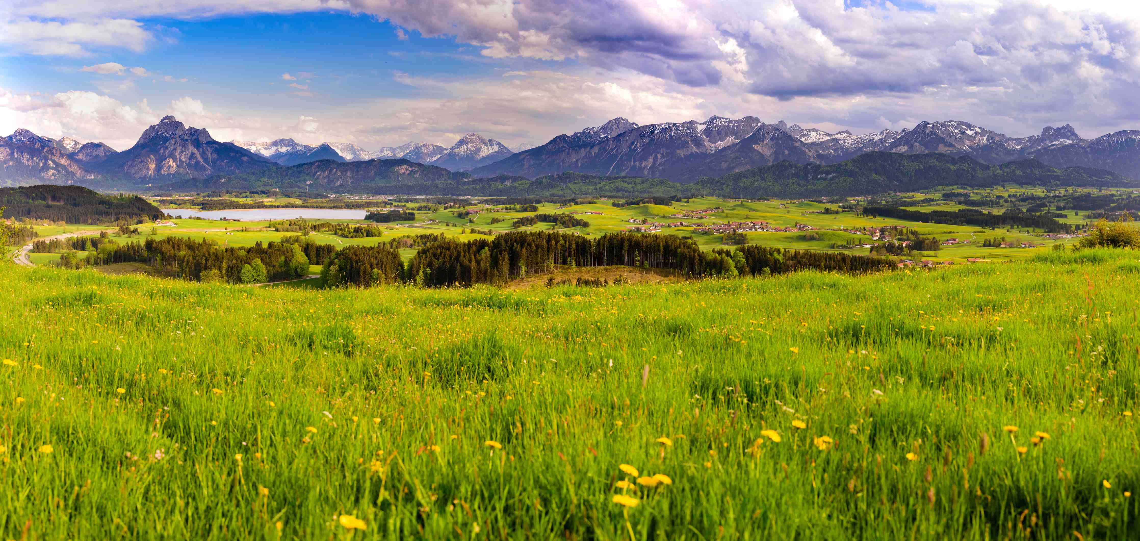 Duschrückwand-Landschaft mit Bergen und grüner Wiese
