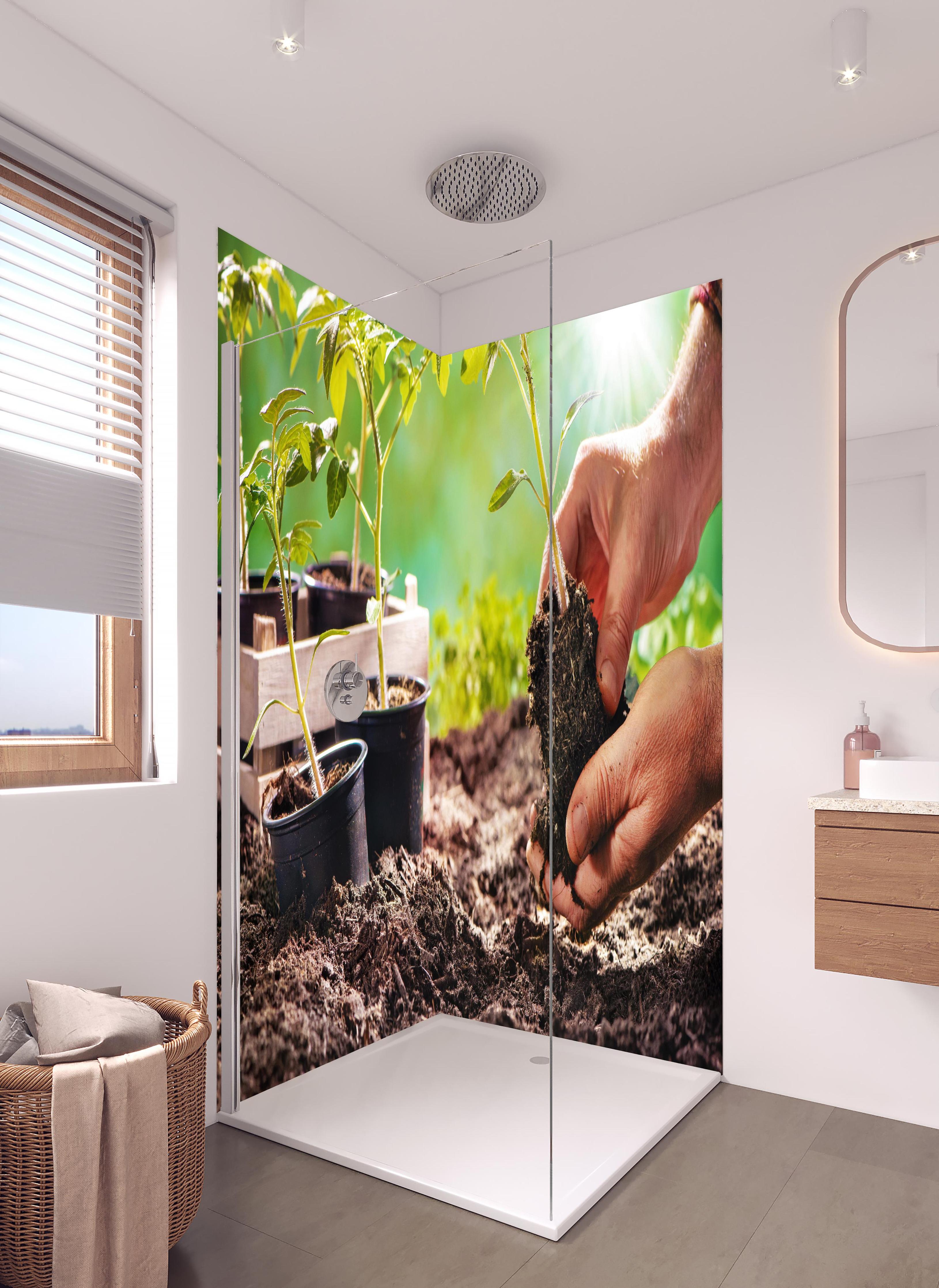 Duschrückwand - Landwirt pflanzt Tomatensetzlinge in hellem Badezimmer mit Regenduschkopf - zweiteilige Eck-Duschrückwand