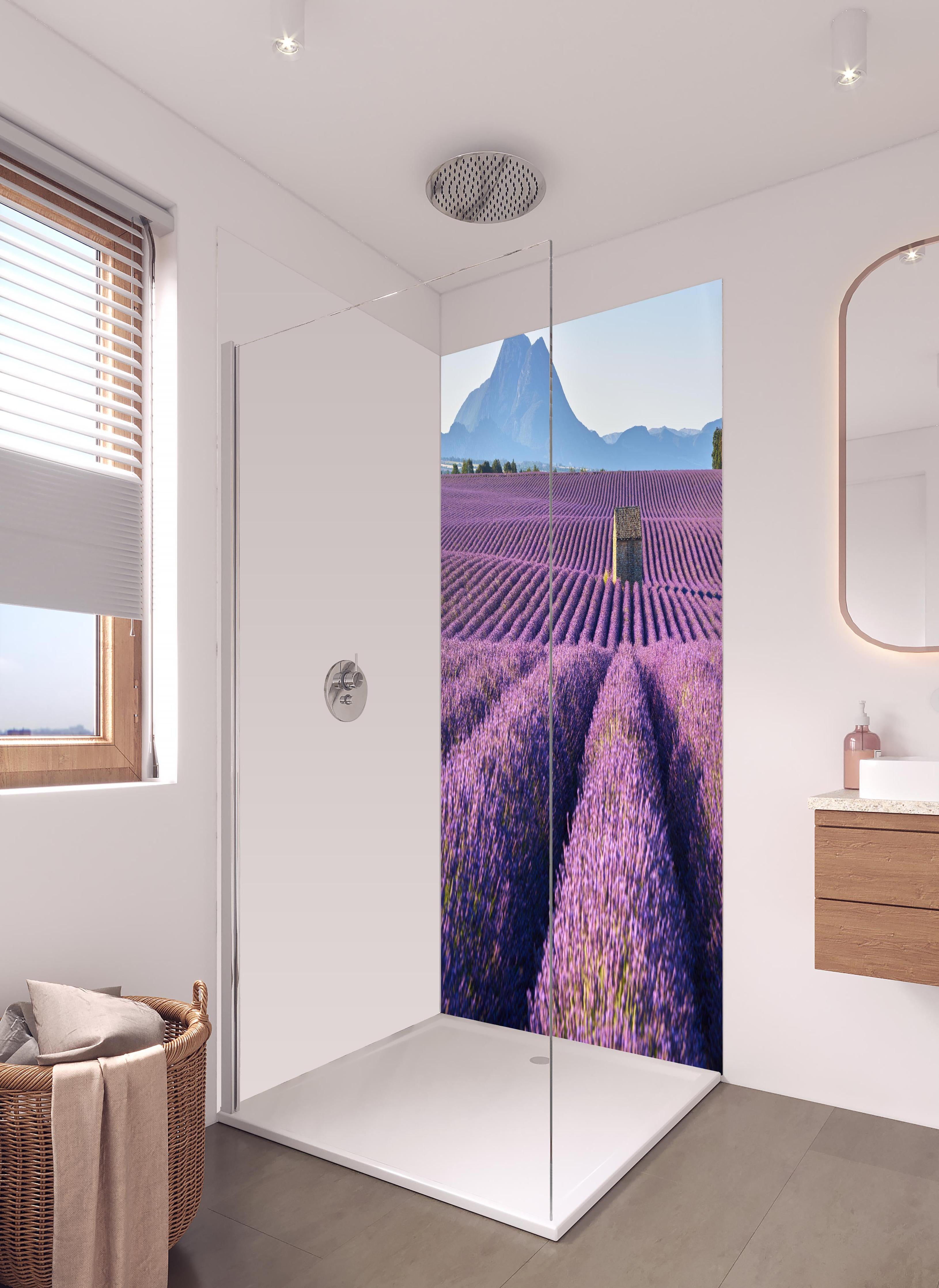 Duschrückwand - Lavendelfelder auf dem Plateau de Valensole in hellem Badezimmer mit Regenduschkopf - zweiteilige Eck-Duschrückwand