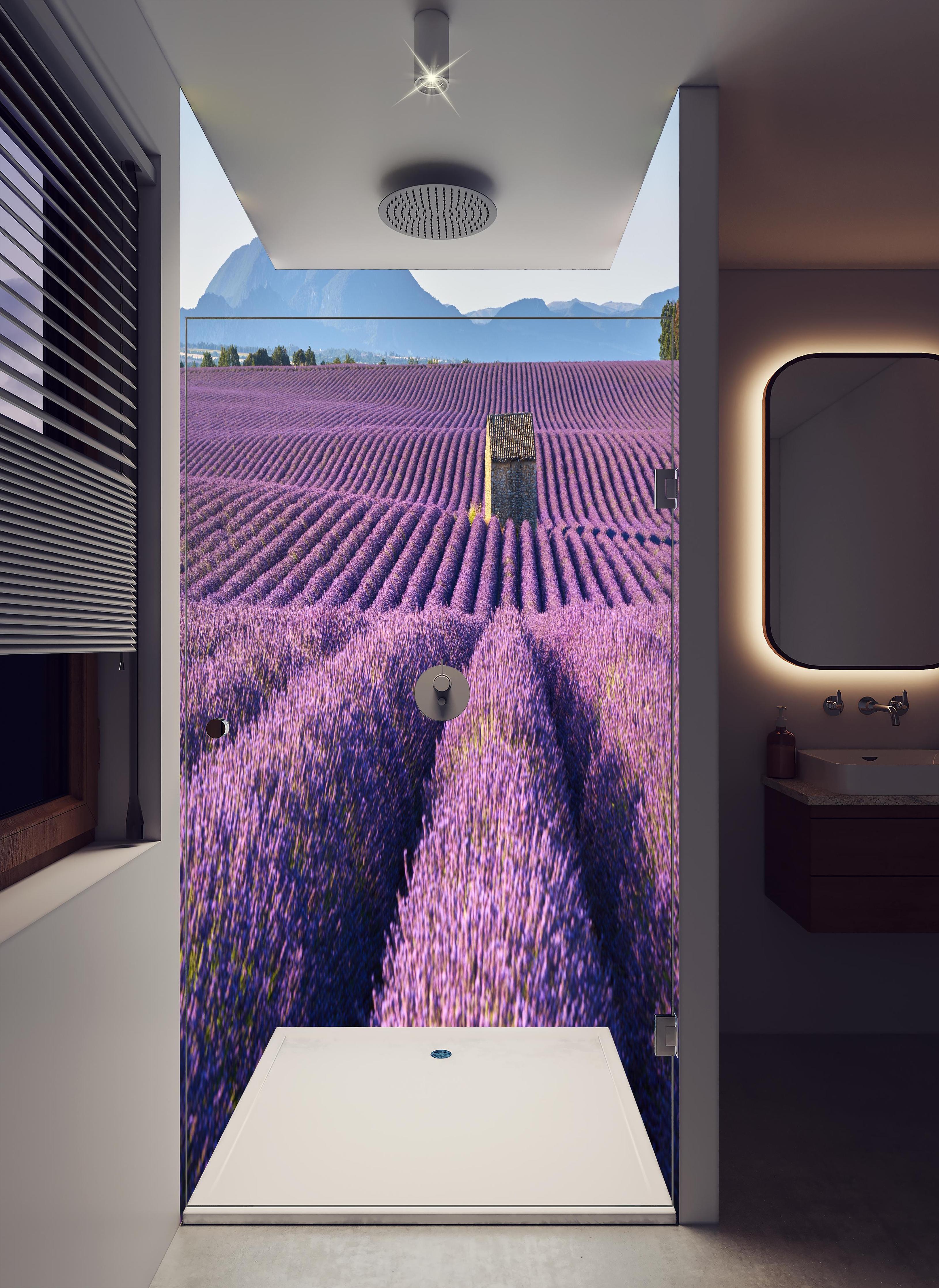 Duschrückwand - Lavendelfelder auf dem Plateau de Valensole in hellem Badezimmer mit Regenduschkopf - zweiteilige Eck-Duschrückwand