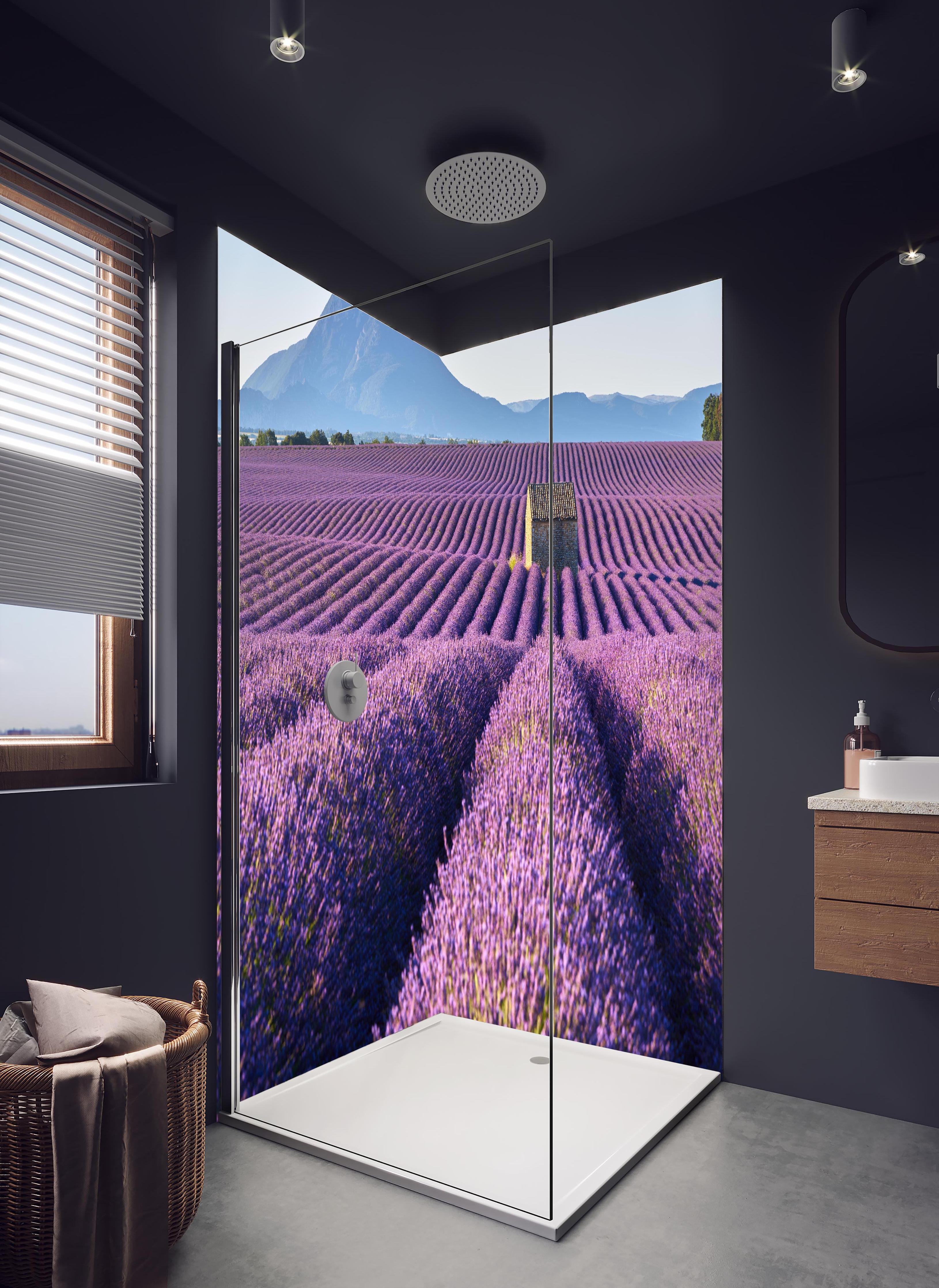 Duschrückwand - Lavendelfelder auf dem Plateau de Valensole in hellem Badezimmer mit Regenduschkopf - zweiteilige Eck-Duschrückwand