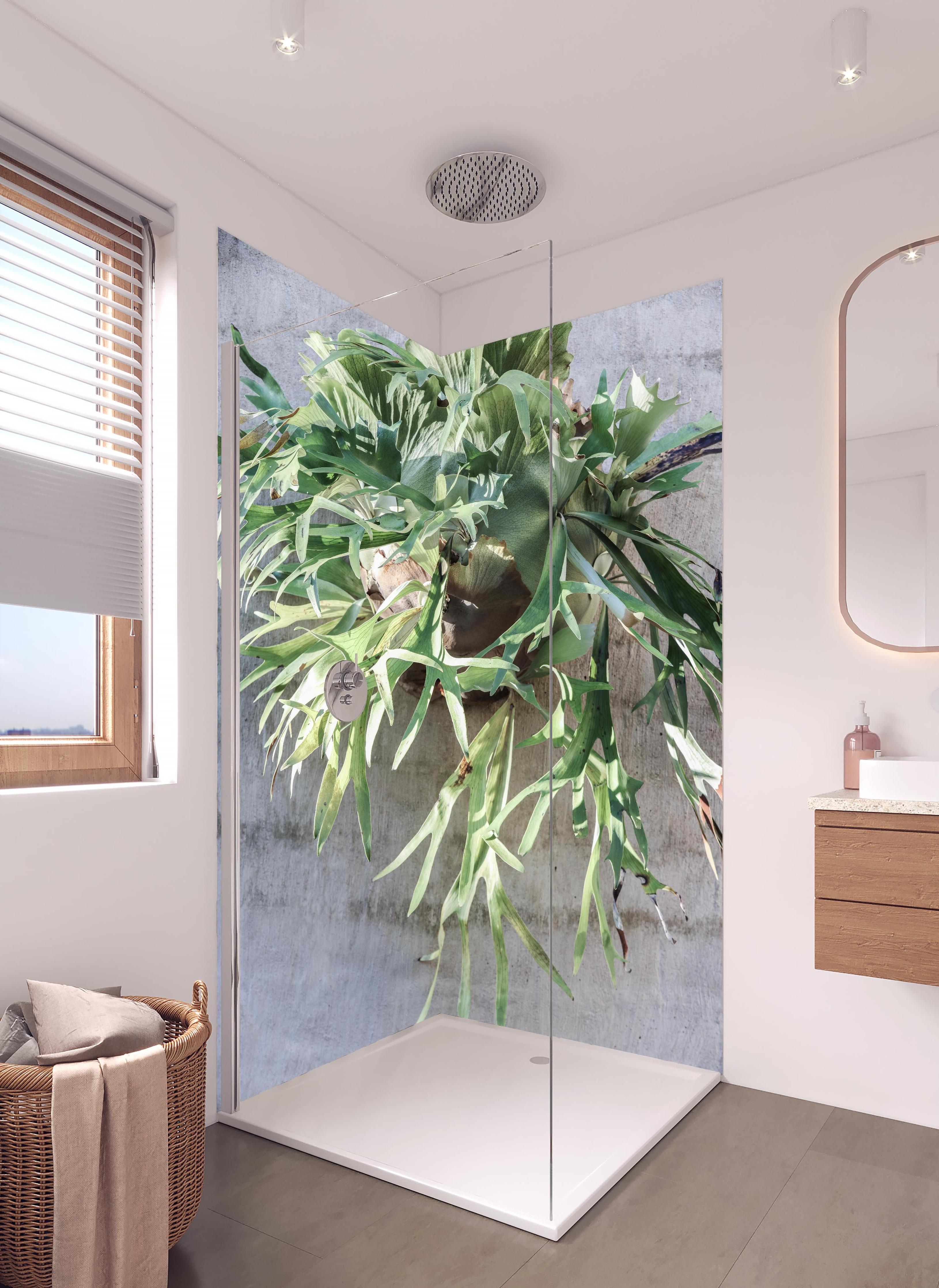 Duschrückwand - Lebendiges Takbok Pflanzen Stillleben in hellem Badezimmer mit Regenduschkopf - zweiteilige Eck-Duschrückwand