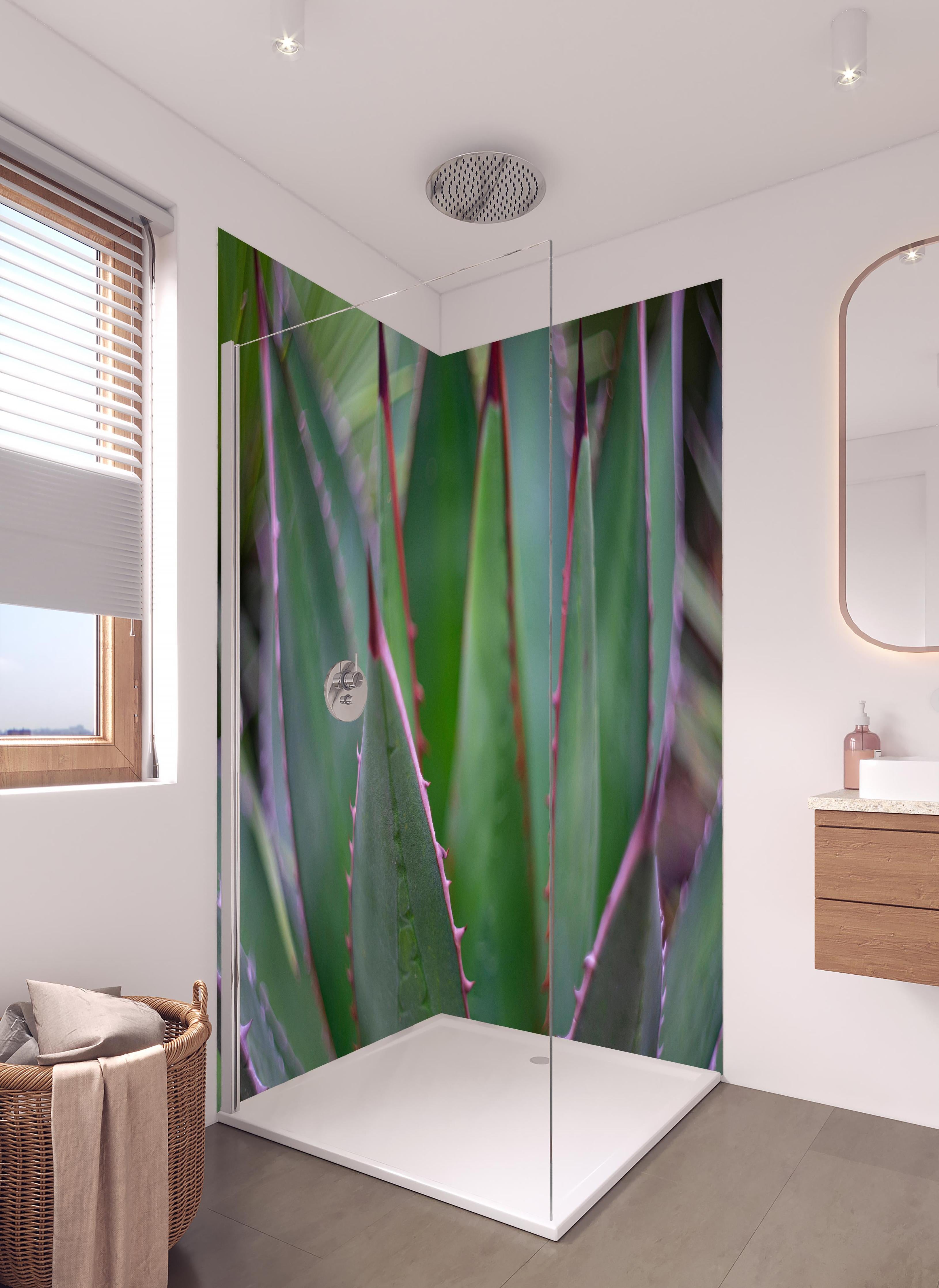 Duschrückwand - Nahaufnahme - Agave ghiesbreghti in hellem Badezimmer mit Regenduschkopf - zweiteilige Eck-Duschrückwand