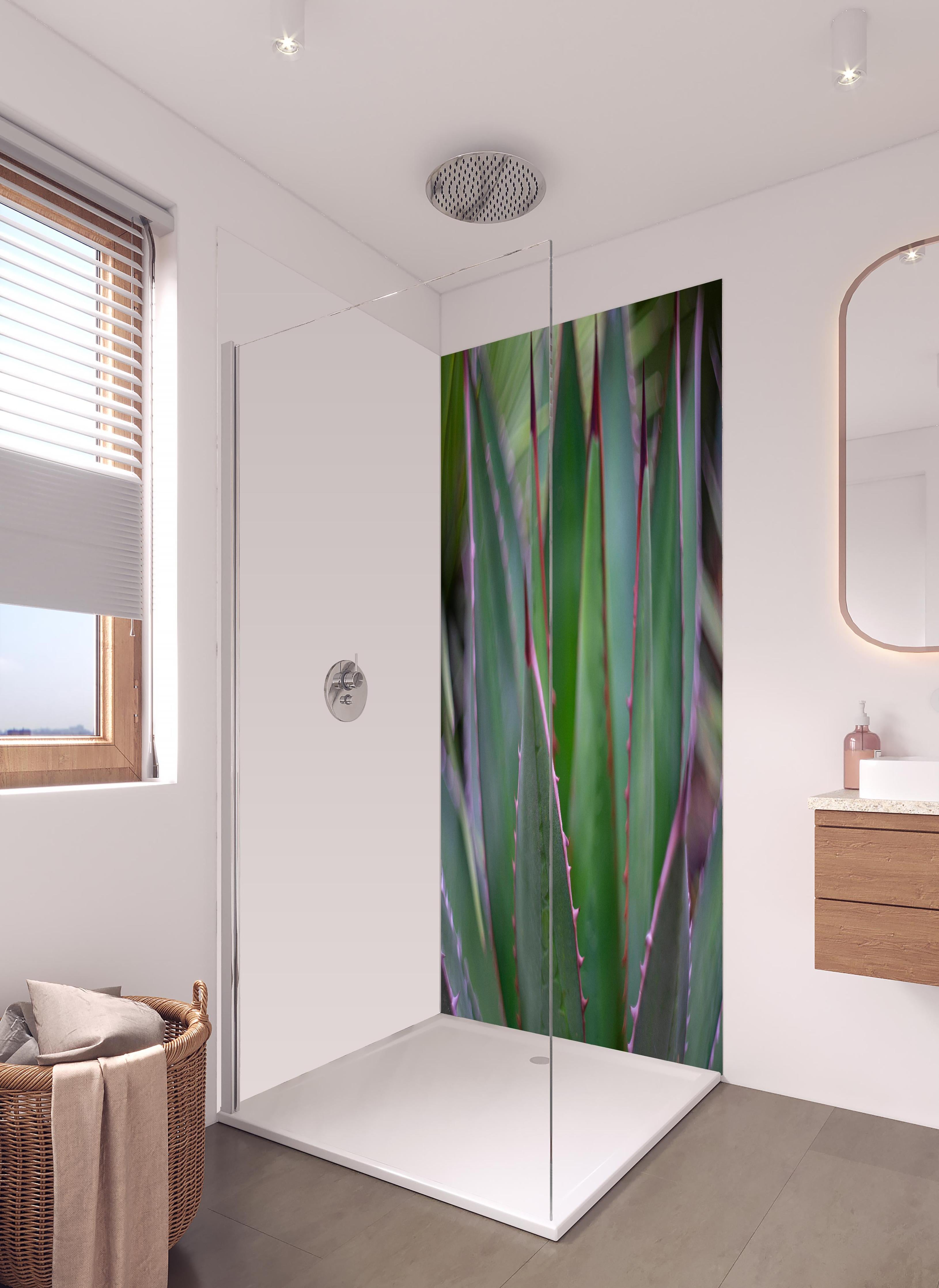 Duschrückwand - Nahaufnahme - Agave ghiesbreghti in hellem Badezimmer mit Regenduschkopf - zweiteilige Eck-Duschrückwand