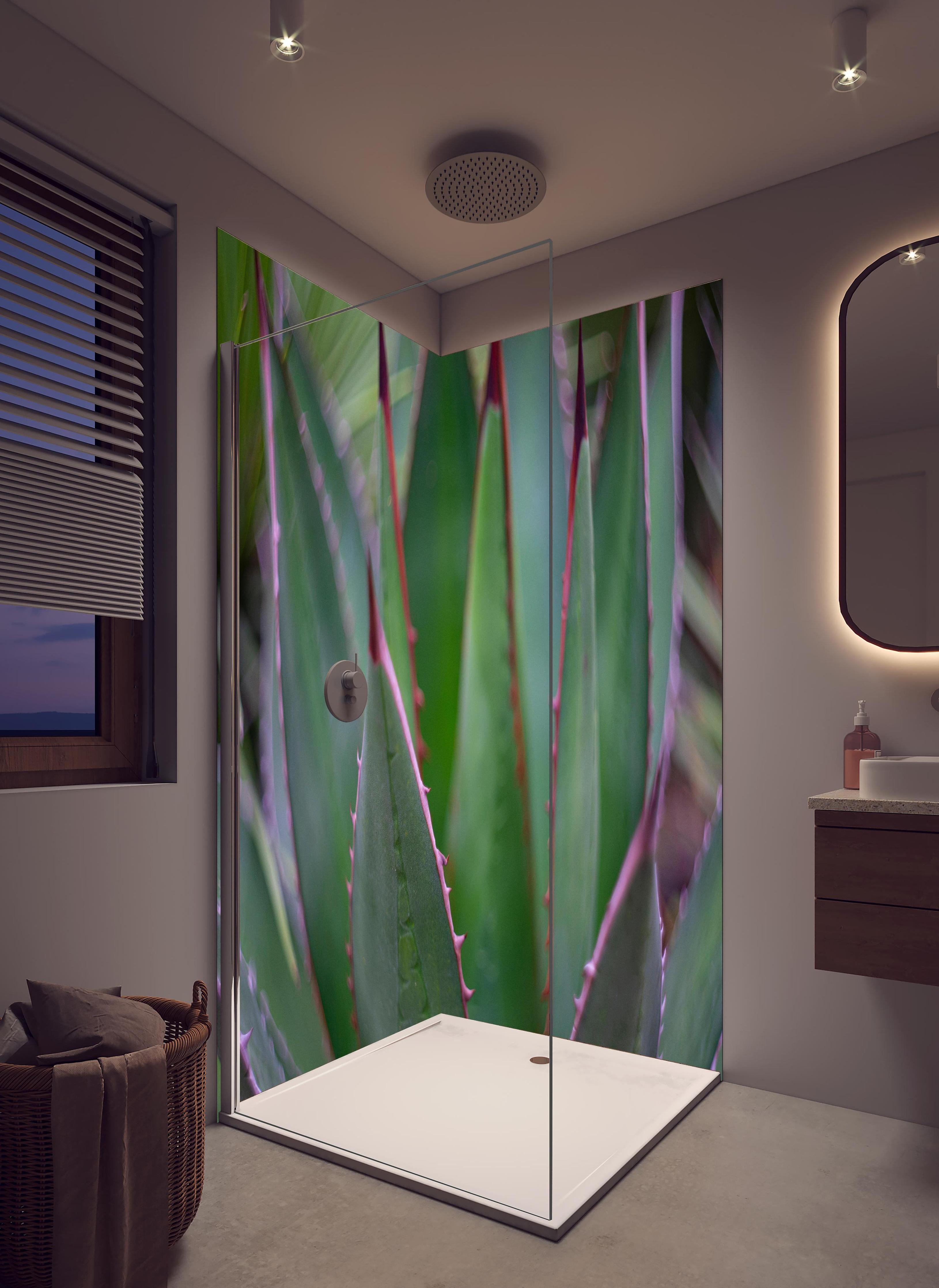 Duschrückwand - Nahaufnahme - Agave ghiesbreghti in hellem Badezimmer mit Regenduschkopf - zweiteilige Eck-Duschrückwand