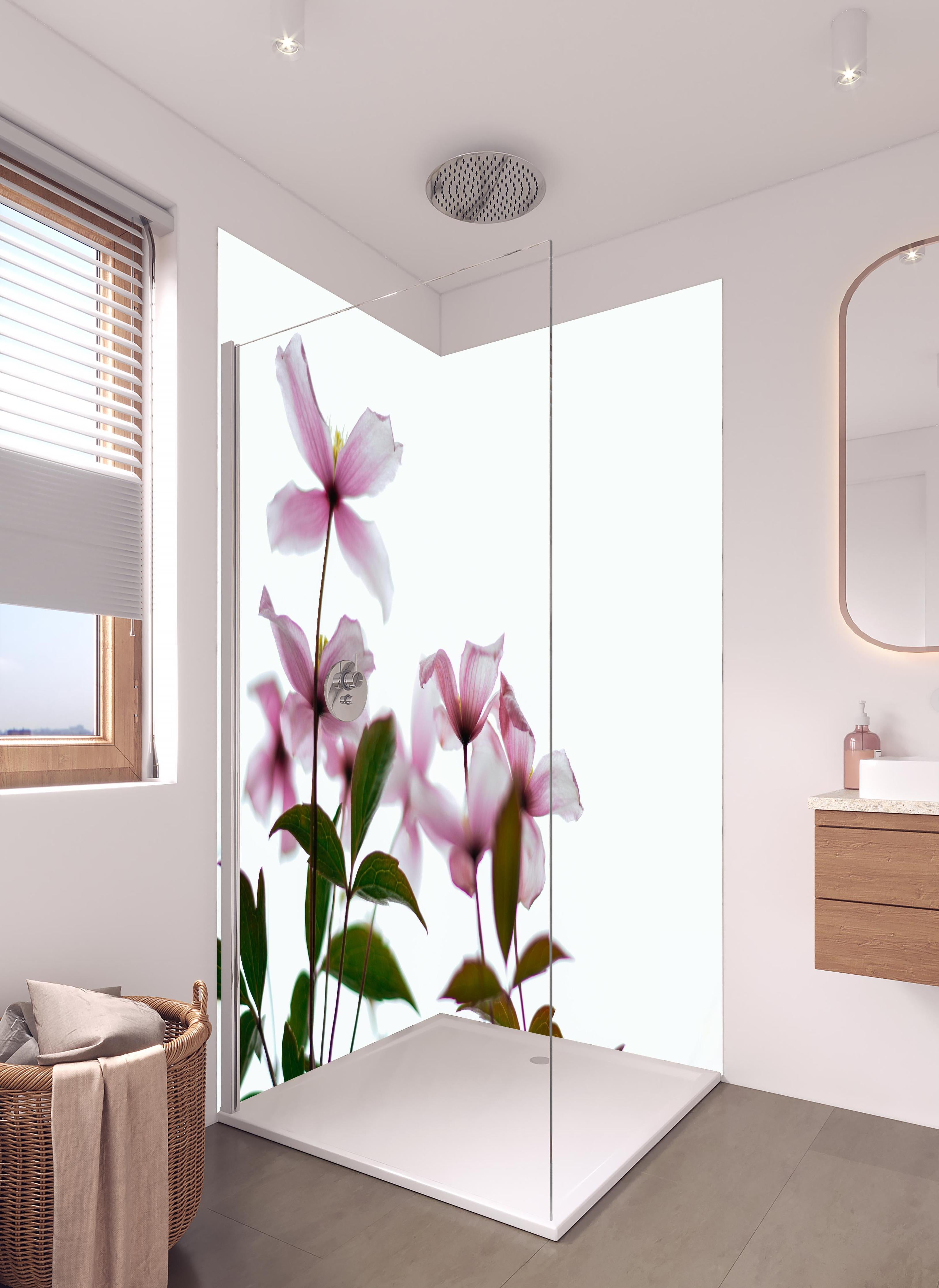 Duschrückwand - Nahaufnahme - Clematis Blüten in hellem Badezimmer mit Regenduschkopf - zweiteilige Eck-Duschrückwand