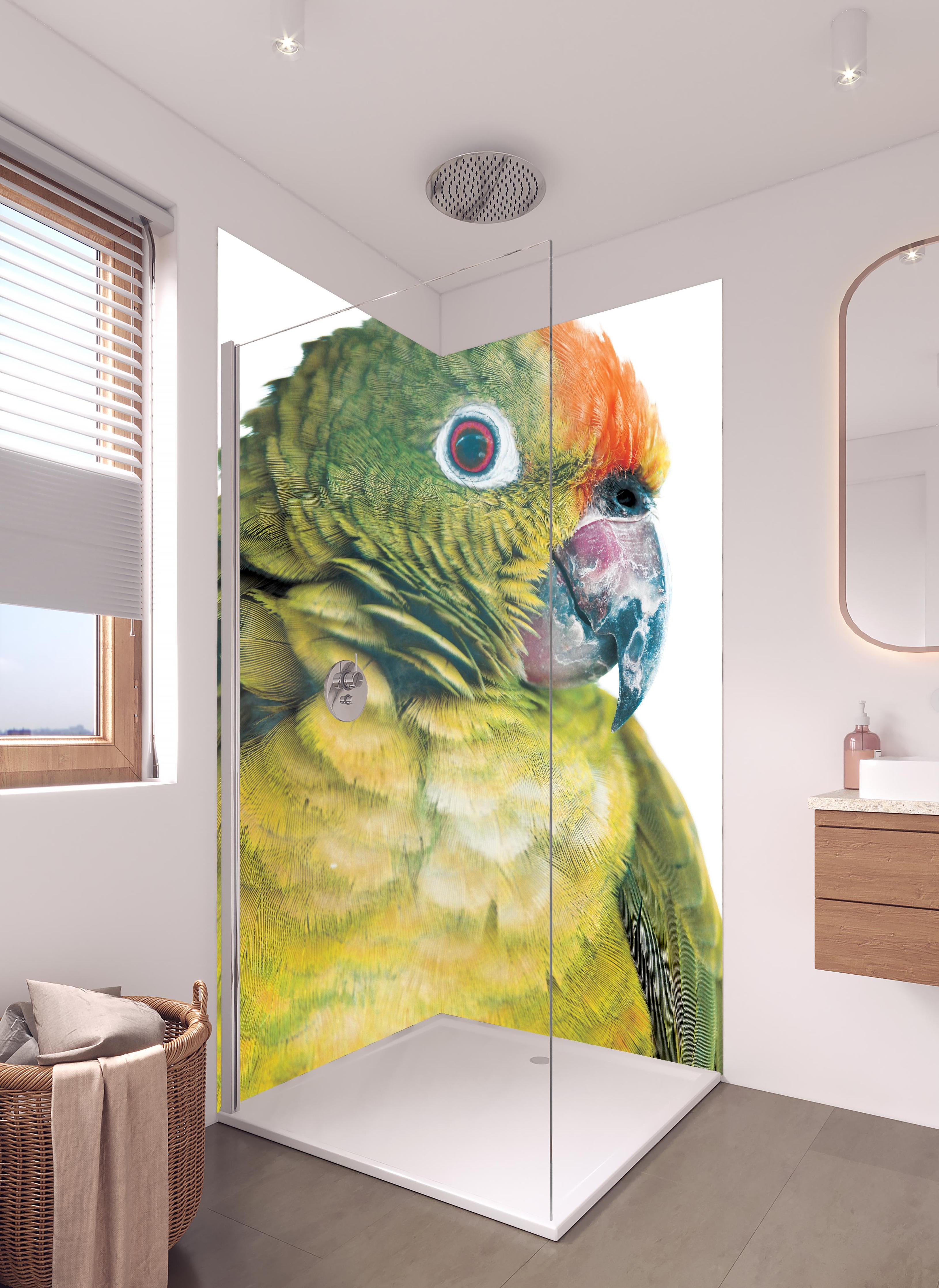 Duschrückwand - Papagei - Nahaufname in hellem Badezimmer mit Regenduschkopf - zweiteilige Eck-Duschrückwand