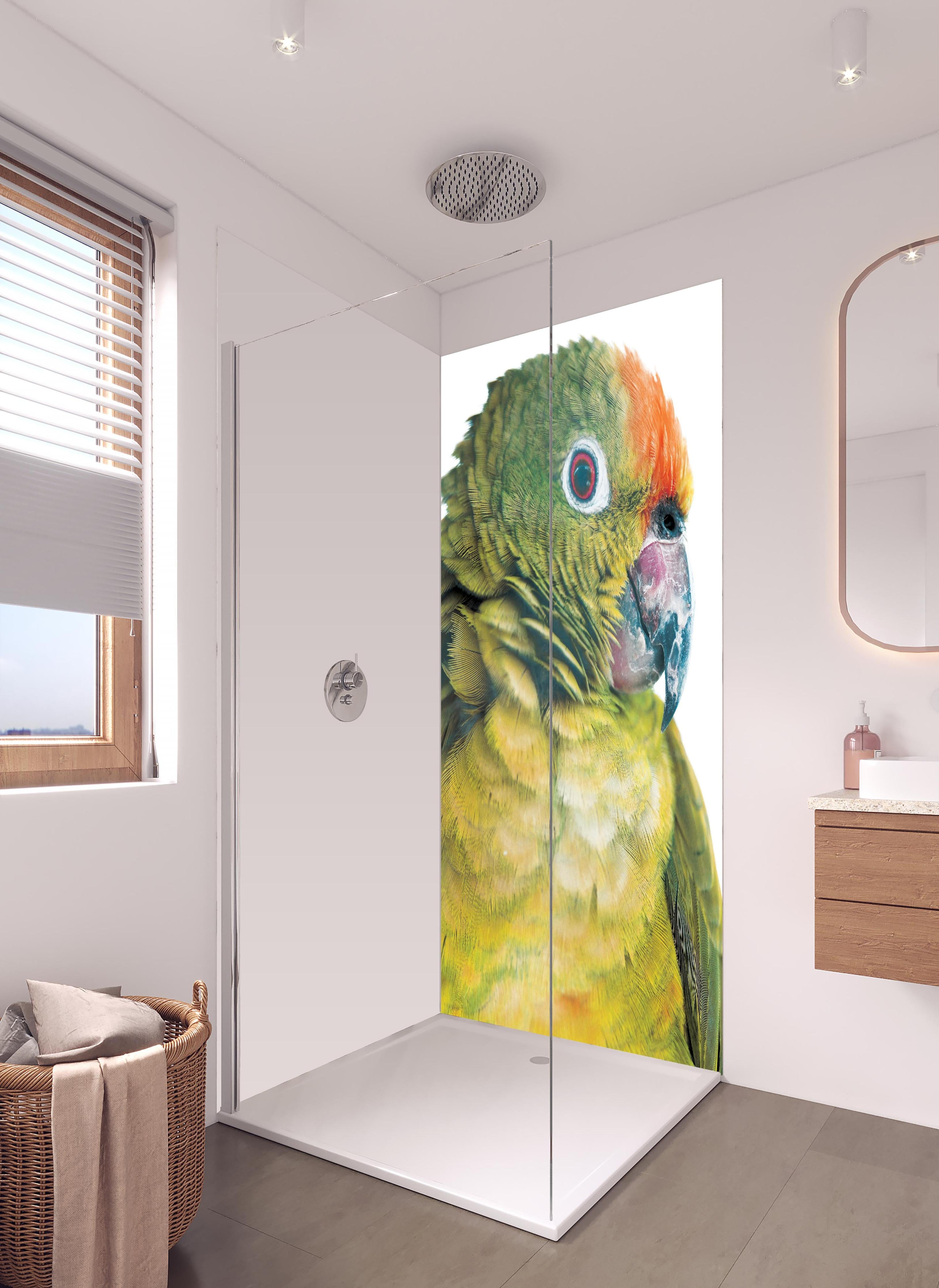 Duschrückwand - Papagei - Nahaufname in hellem Badezimmer mit Regenduschkopf - zweiteilige Eck-Duschrückwand