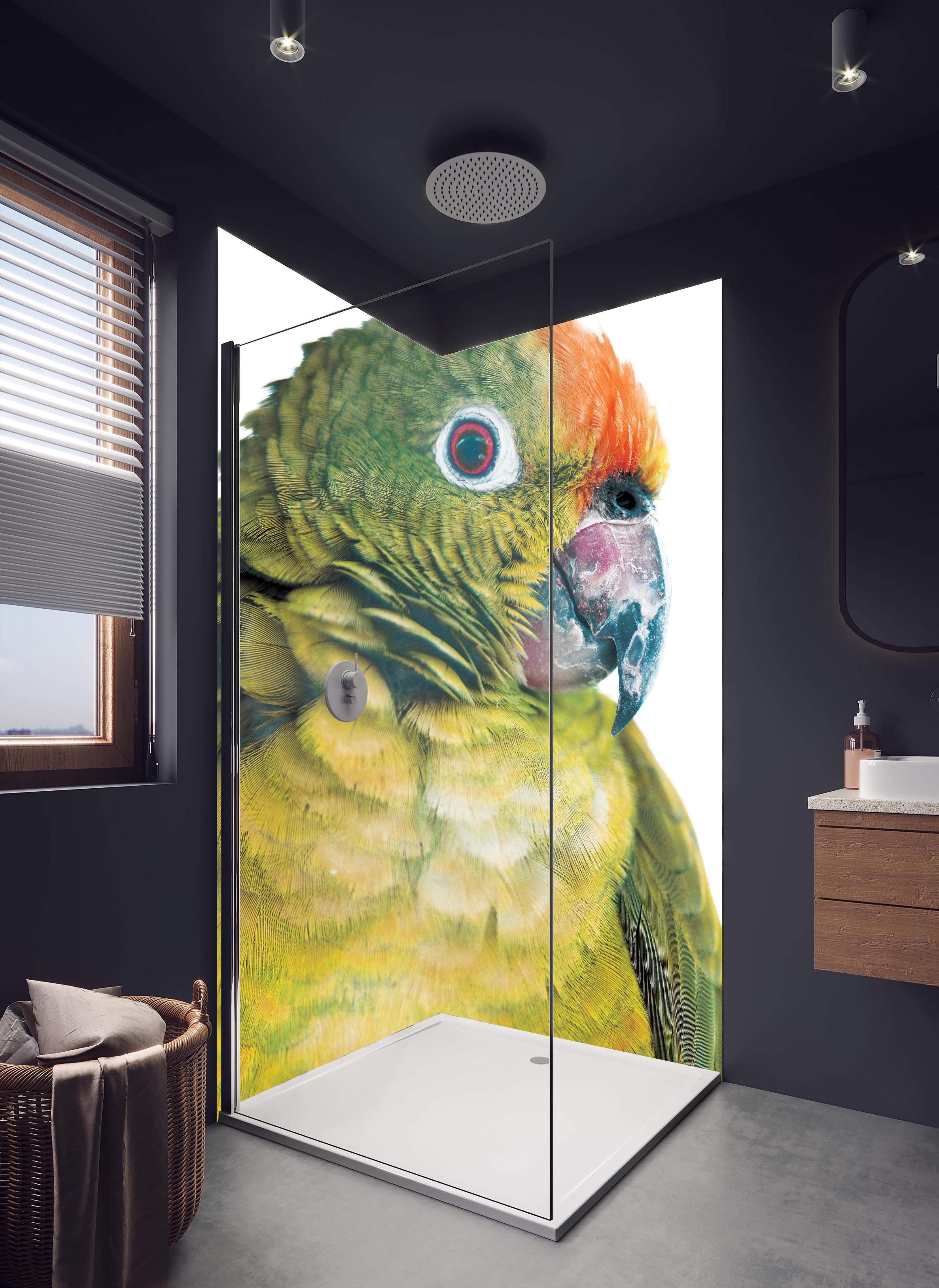 Duschrückwand - Papagei - Nahaufname in hellem Badezimmer mit Regenduschkopf - zweiteilige Eck-Duschrückwand