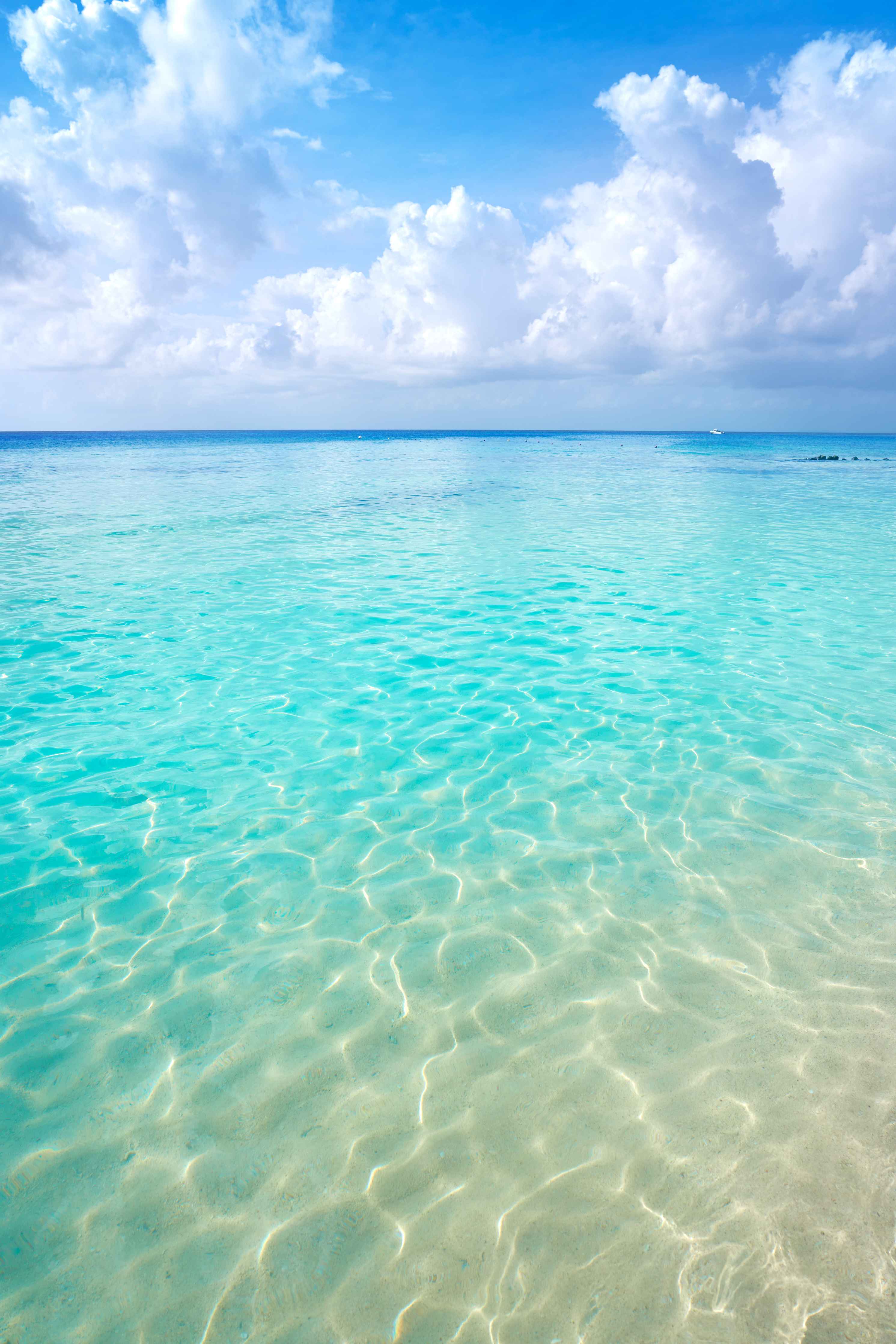 Duschrückwand-Paradise-Strand mit klarem Wasser und Himmel