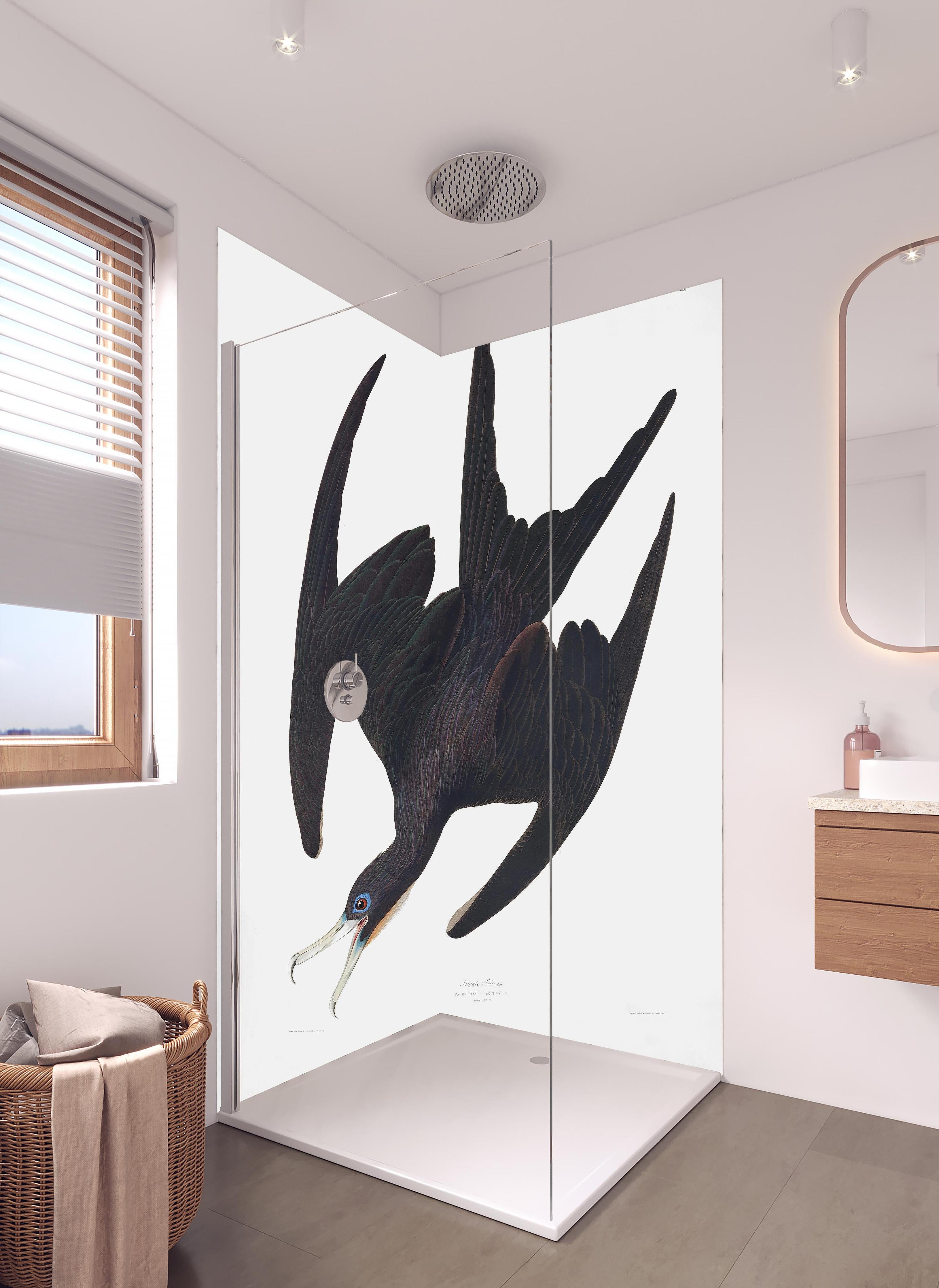 Duschrückwand - Pelikan Portrait - Robert Havell in hellem Badezimmer mit Regenduschkopf - zweiteilige Eck-Duschrückwand