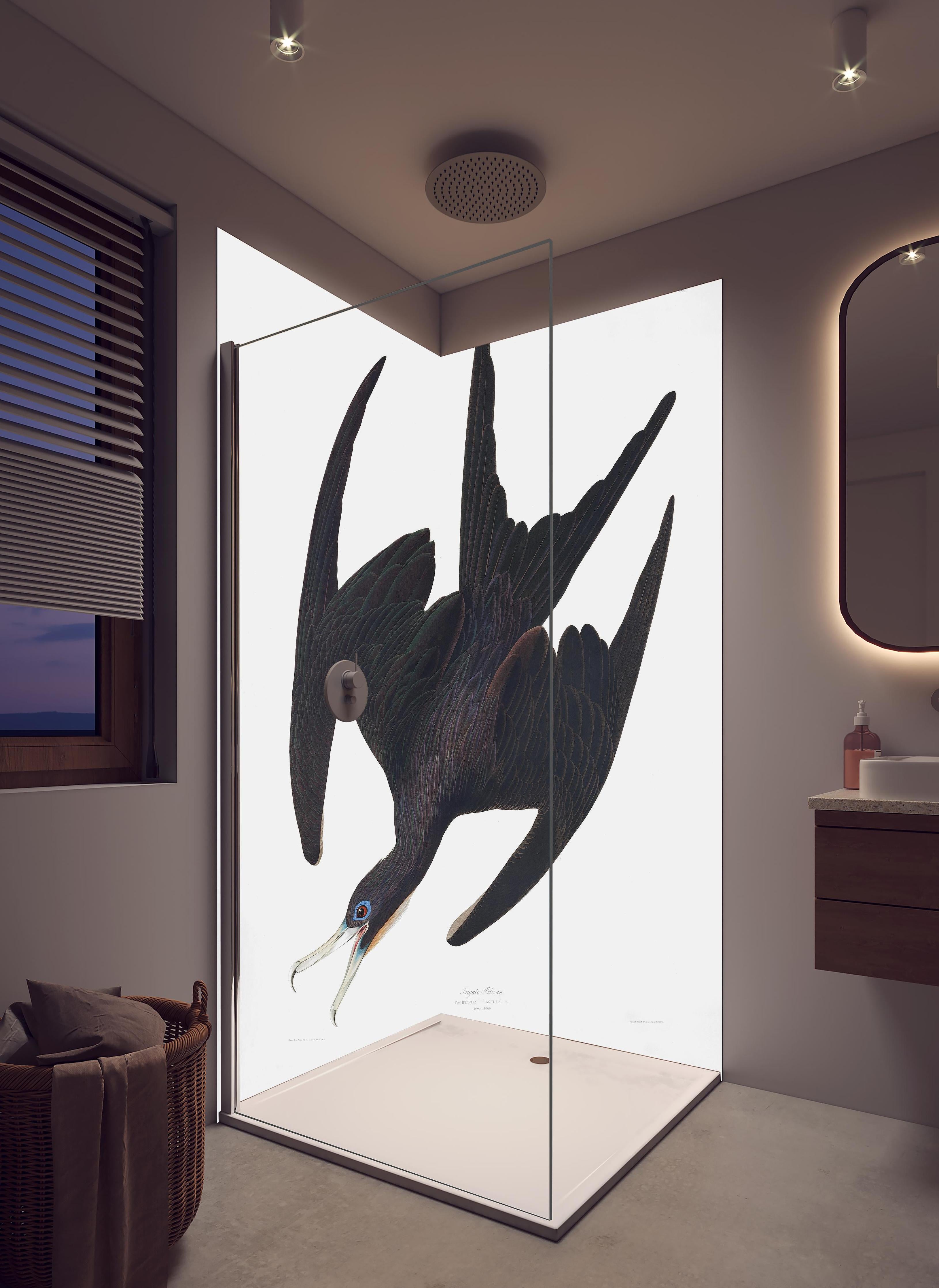 Duschrückwand - Pelikan Portrait - Robert Havell in hellem Badezimmer mit Regenduschkopf - zweiteilige Eck-Duschrückwand