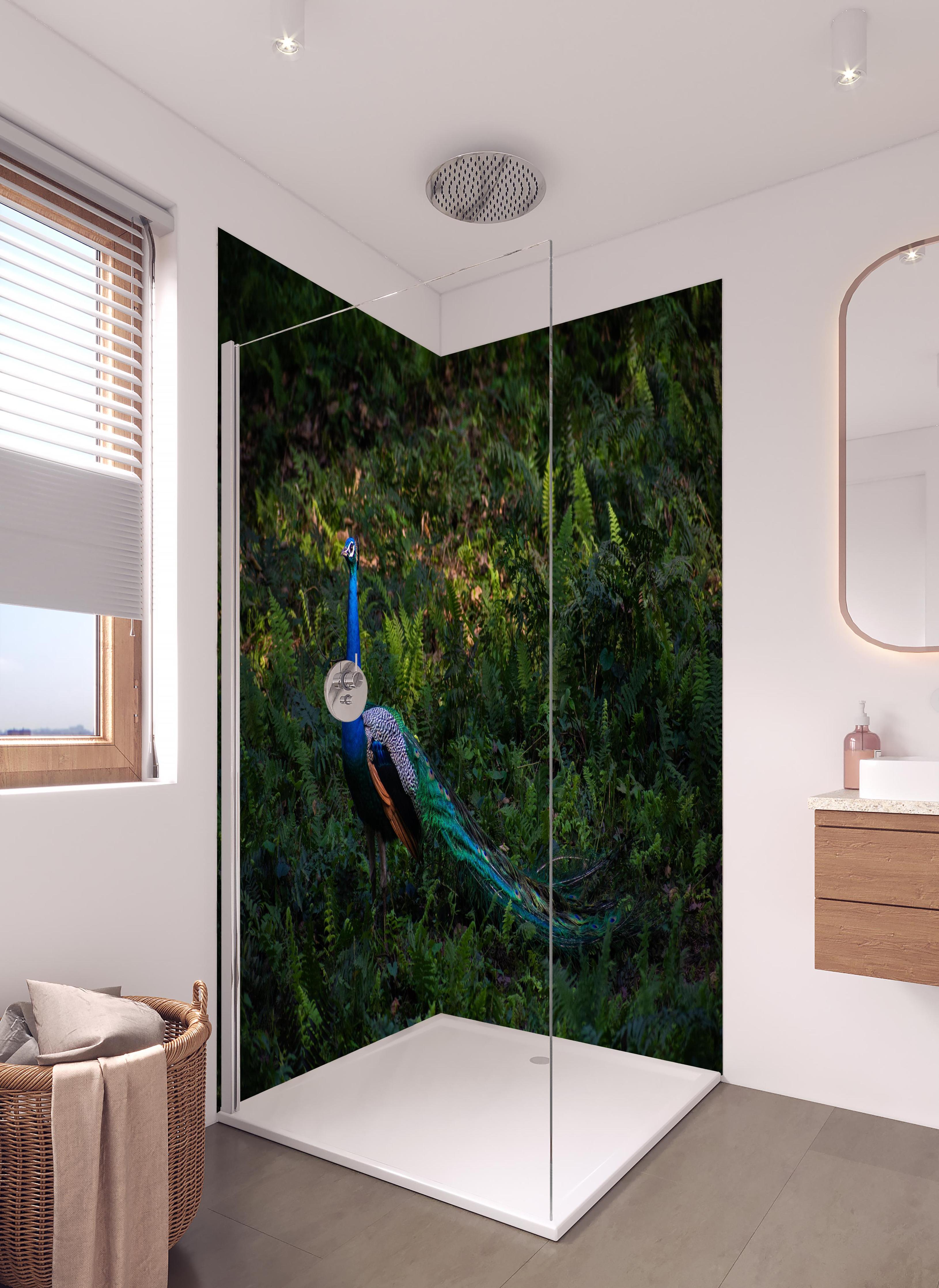 Duschrückwand - Pfau in freier Natur in hellem Badezimmer mit Regenduschkopf - zweiteilige Eck-Duschrückwand