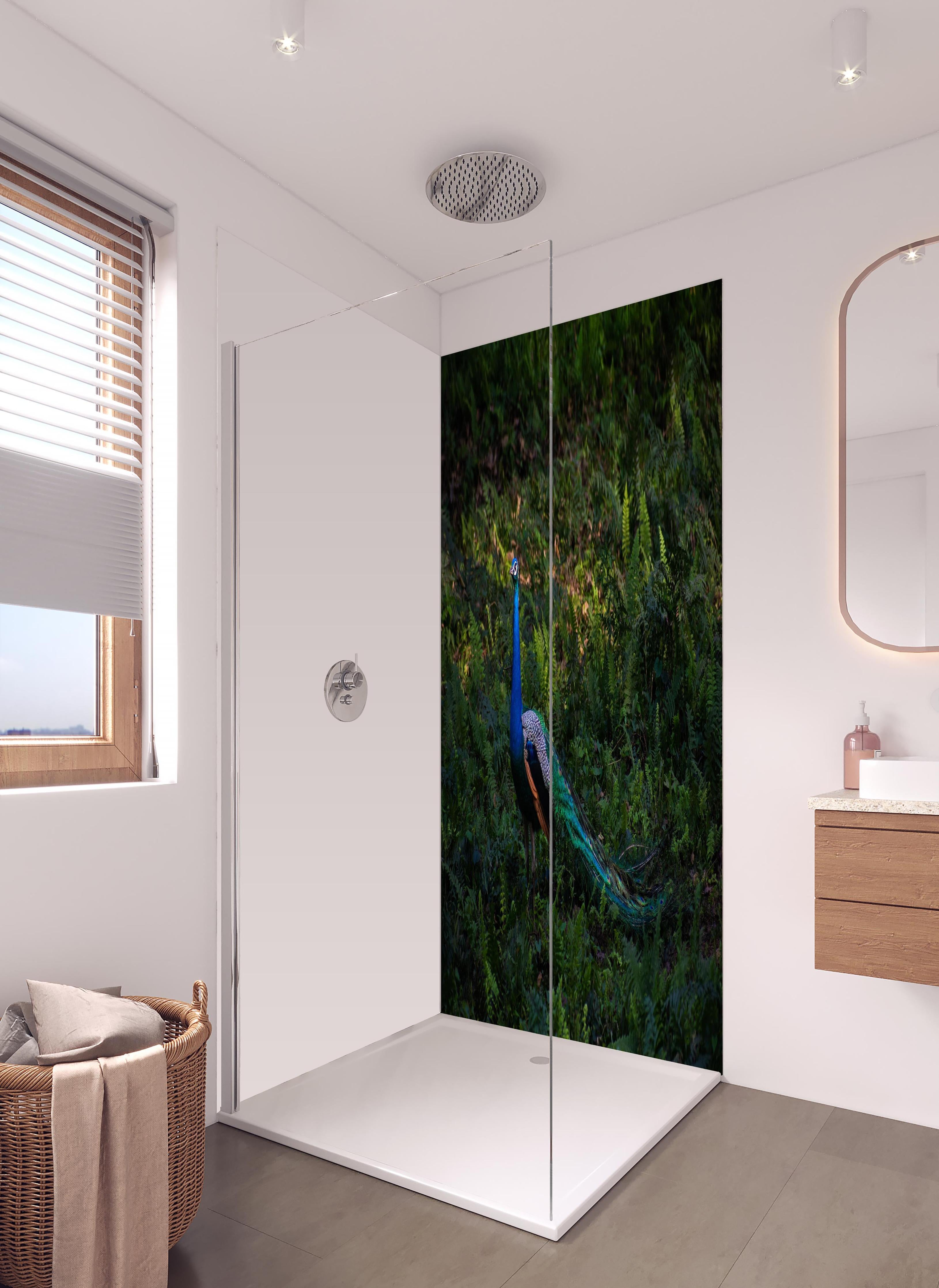 Duschrückwand - Pfau in freier Natur in hellem Badezimmer mit Regenduschkopf - zweiteilige Eck-Duschrückwand