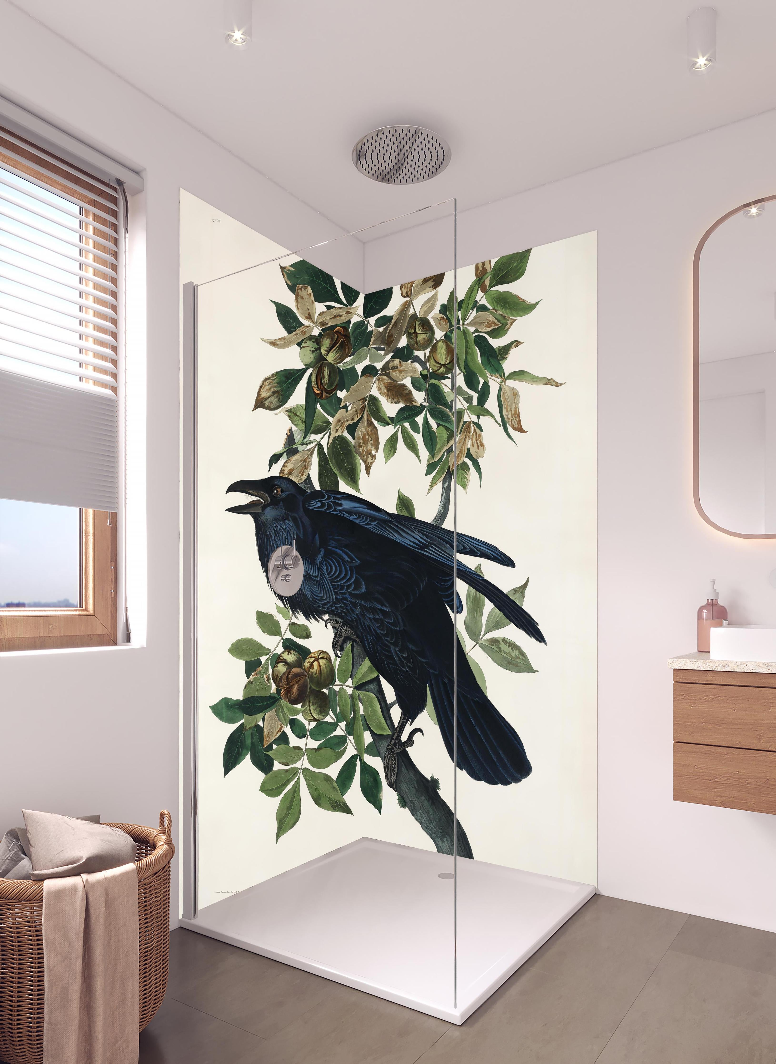 Duschrückwand - Raben Portrait - John James Audubon in hellem Badezimmer mit Regenduschkopf - zweiteilige Eck-Duschrückwand