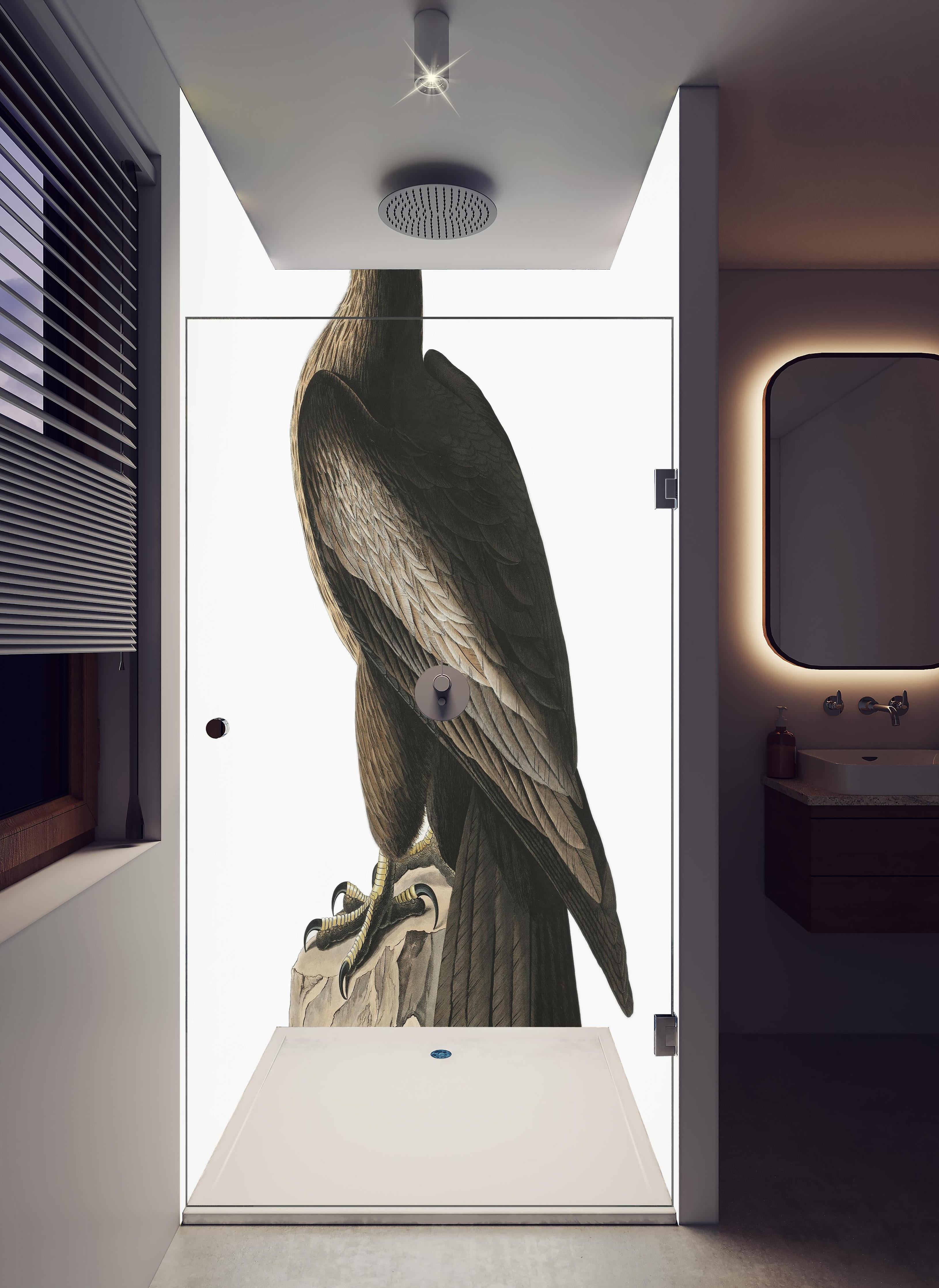Duschrückwand - Riesenseeadler Portrait - John James Audubon in hellem Badezimmer mit Regenduschkopf - zweiteilige Eck-Duschrückwand