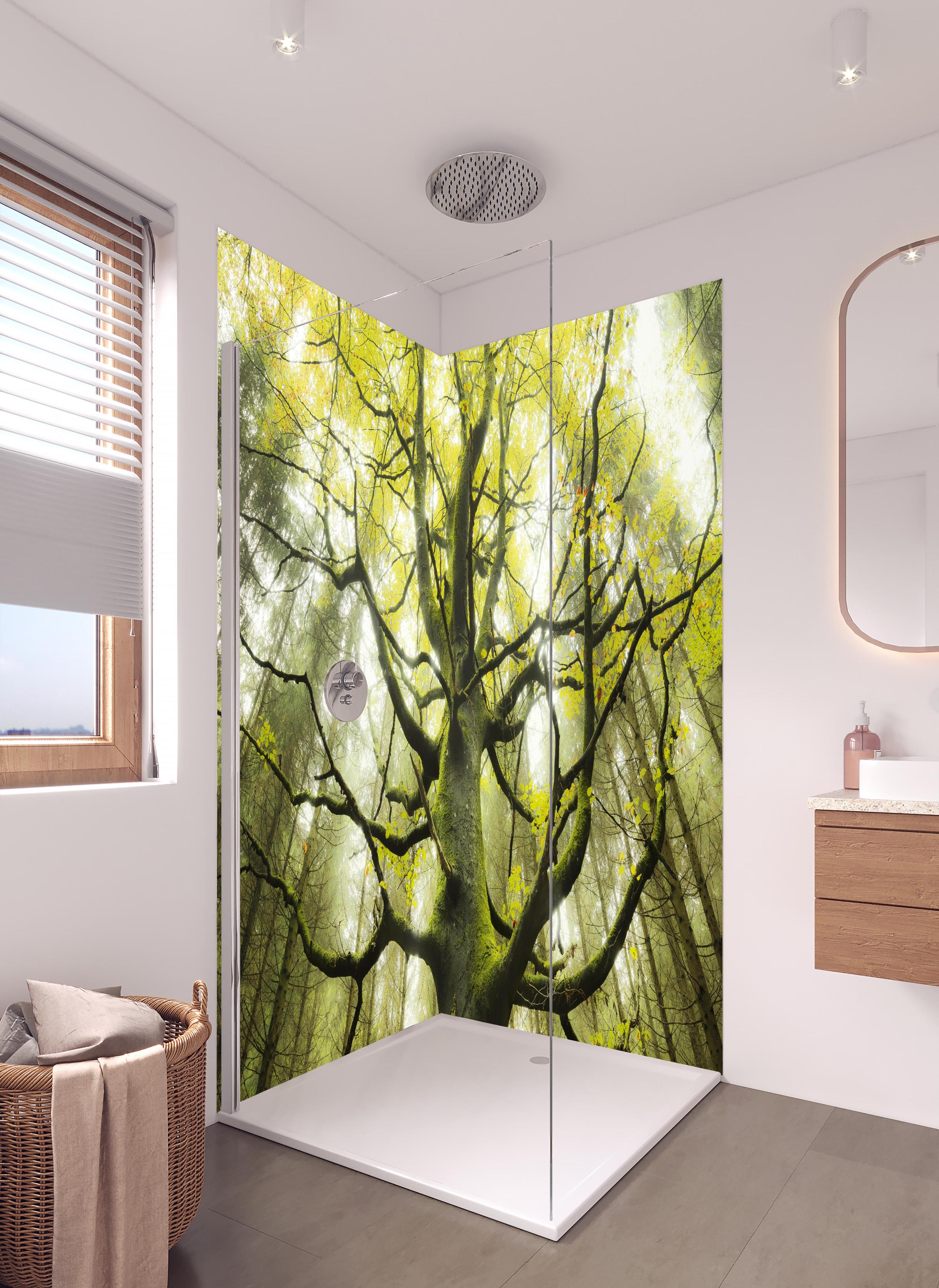 Duschrückwand - Riesiger Baum in Bayern in hellem Badezimmer mit Regenduschkopf - zweiteilige Eck-Duschrückwand