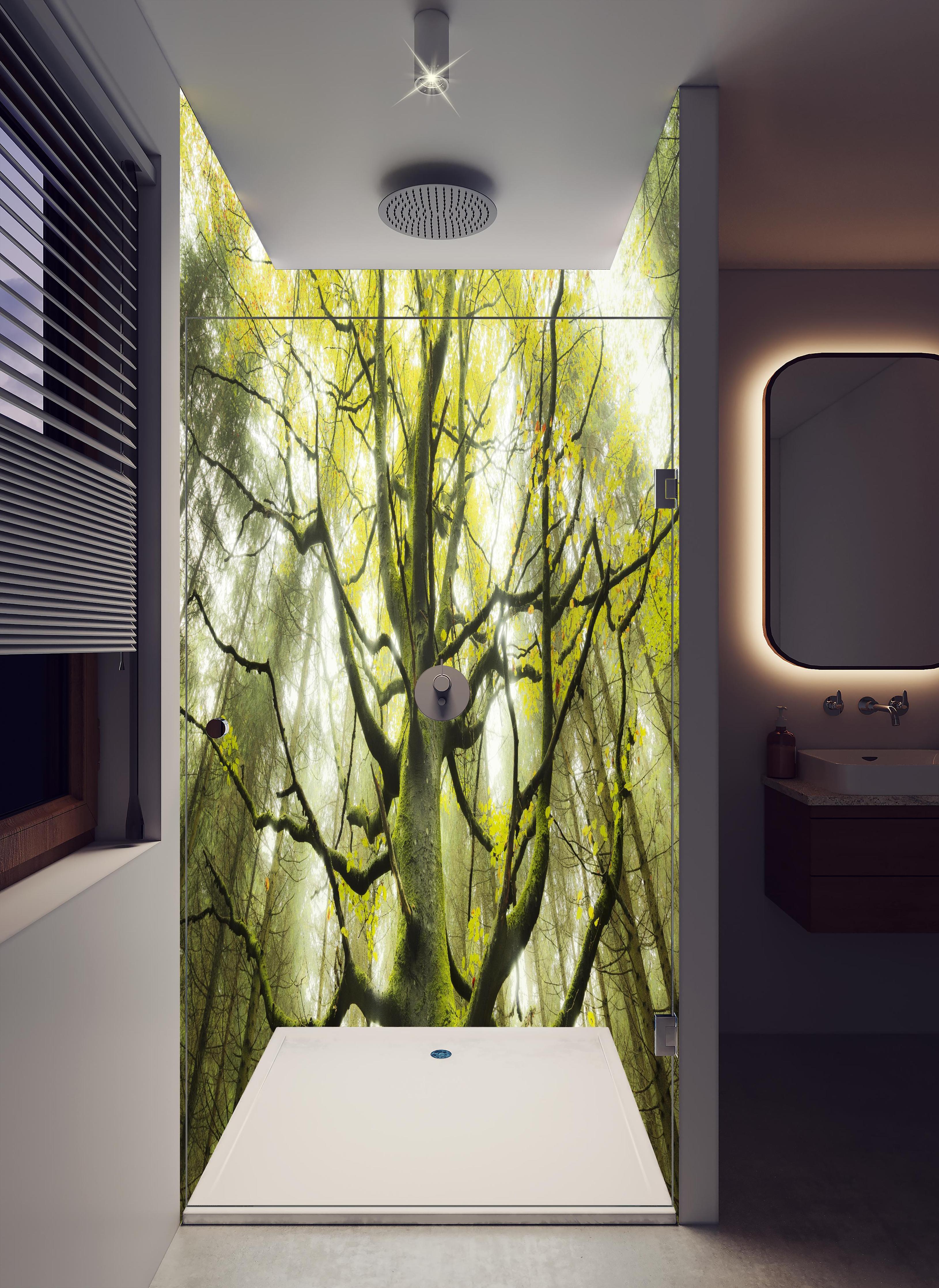 Duschrückwand - Riesiger Baum in Bayern in hellem Badezimmer mit Regenduschkopf - zweiteilige Eck-Duschrückwand