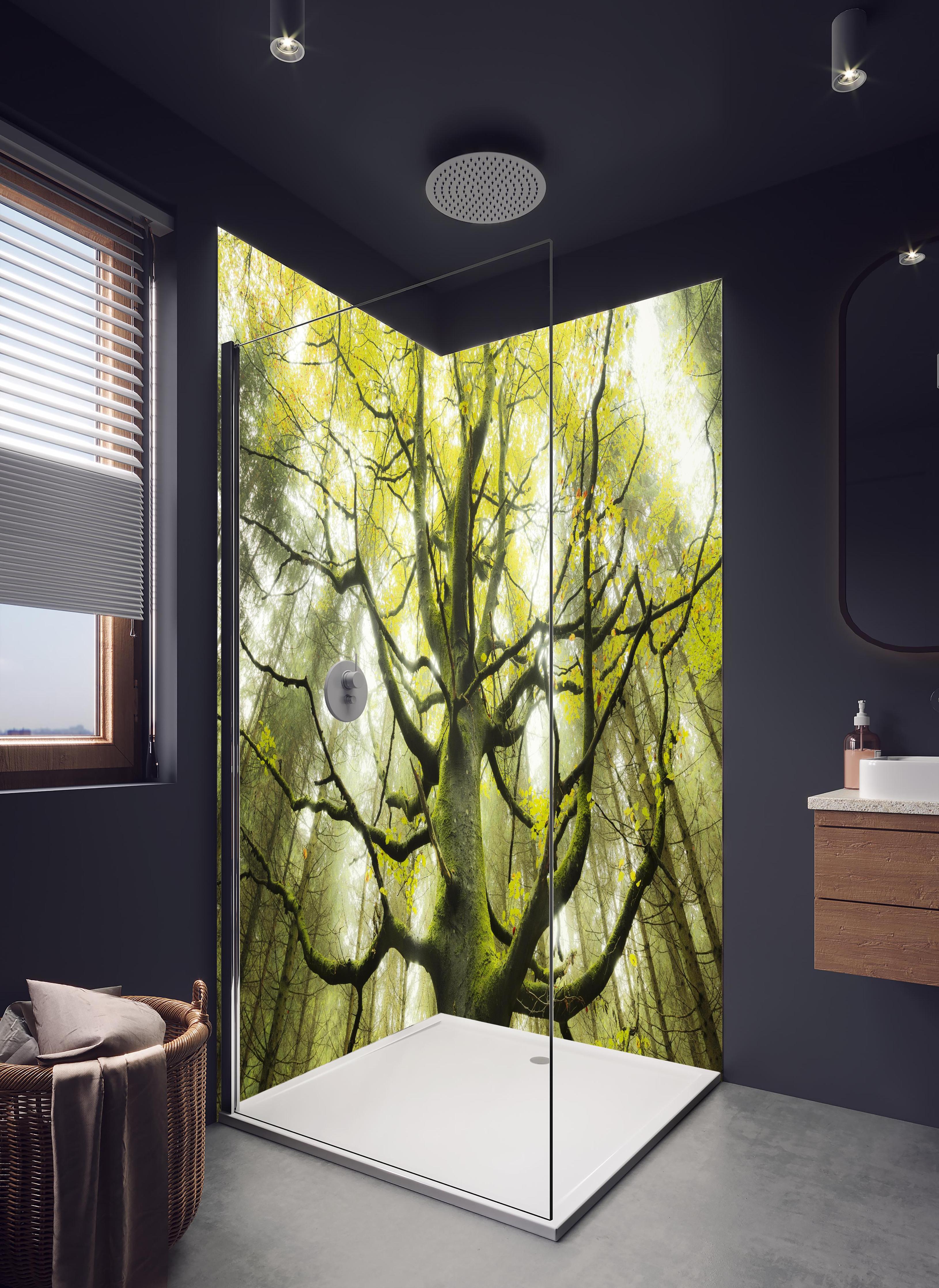 Duschrückwand - Riesiger Baum in Bayern in hellem Badezimmer mit Regenduschkopf - zweiteilige Eck-Duschrückwand