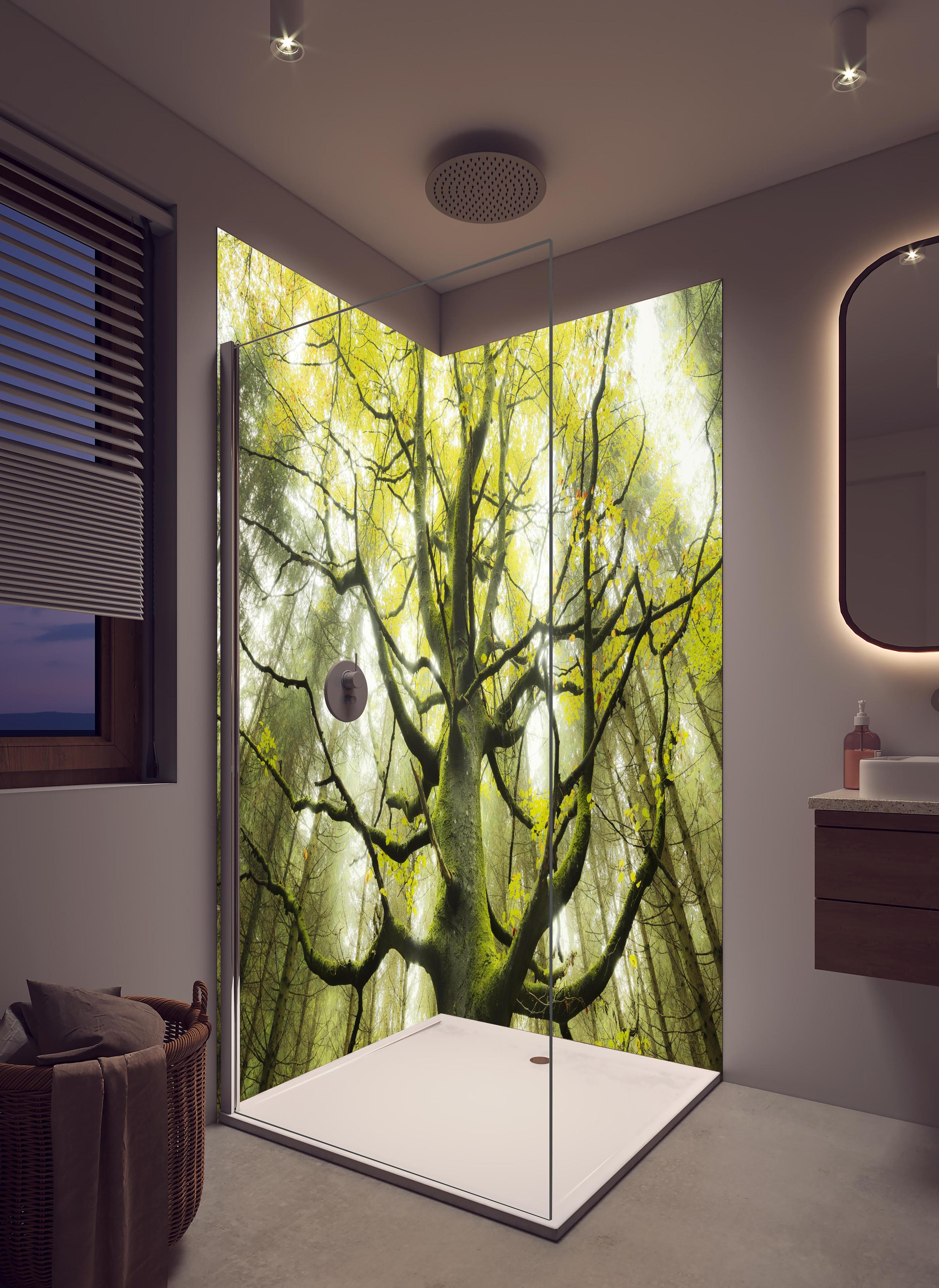 Duschrückwand - Riesiger Baum in Bayern in hellem Badezimmer mit Regenduschkopf - zweiteilige Eck-Duschrückwand