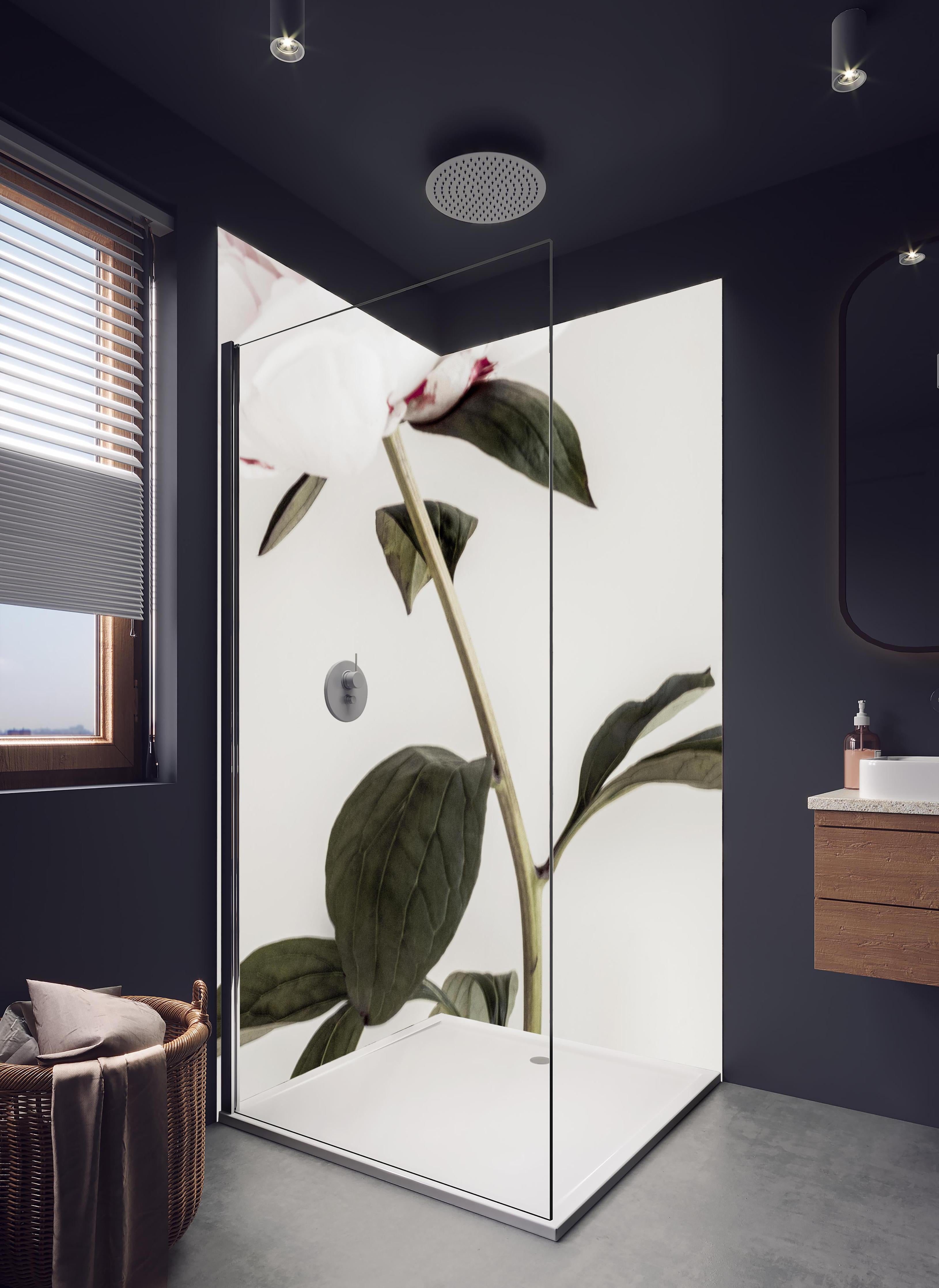 Duschrückwand - Rosa Pfingstrose - Nahaufnahme in hellem Badezimmer mit Regenduschkopf - zweiteilige Eck-Duschrückwand