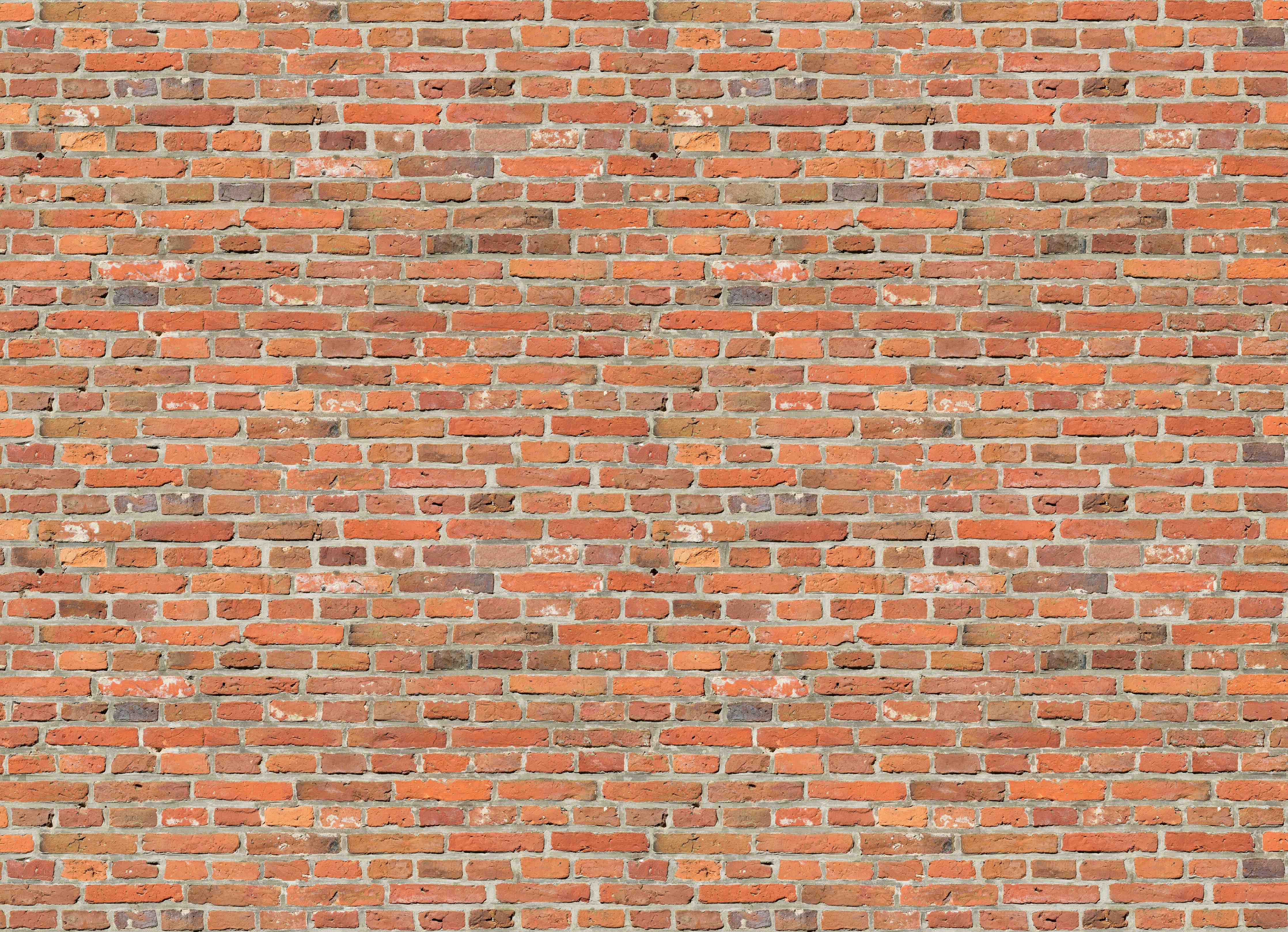 Duschrückwand-Rotes Ziegelmauerwerk mit authentischer Textur