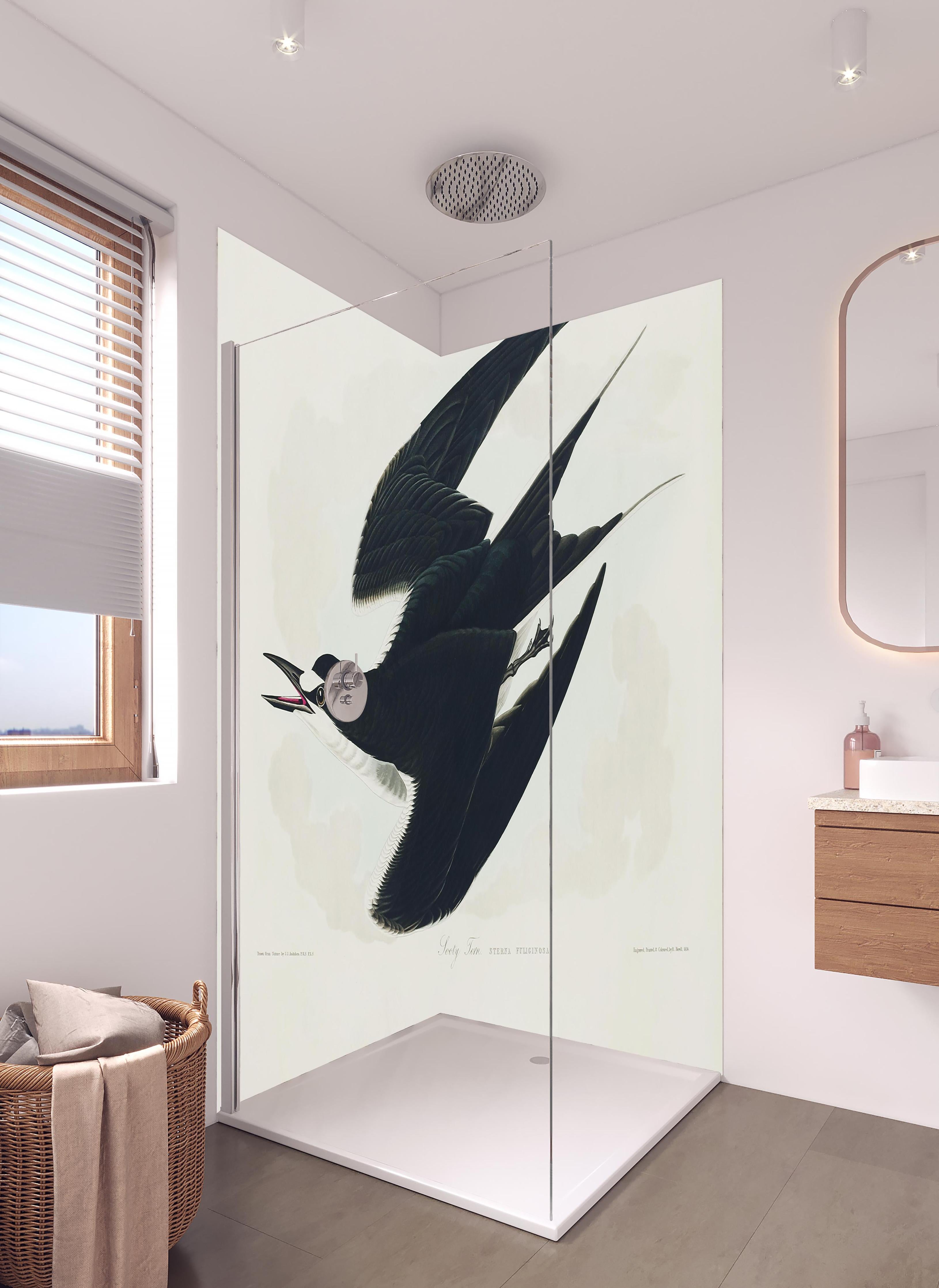 Duschrückwand - Rußseeschwalbe Portrait - John James Audubon in hellem Badezimmer mit Regenduschkopf - zweiteilige Eck-Duschrückwand