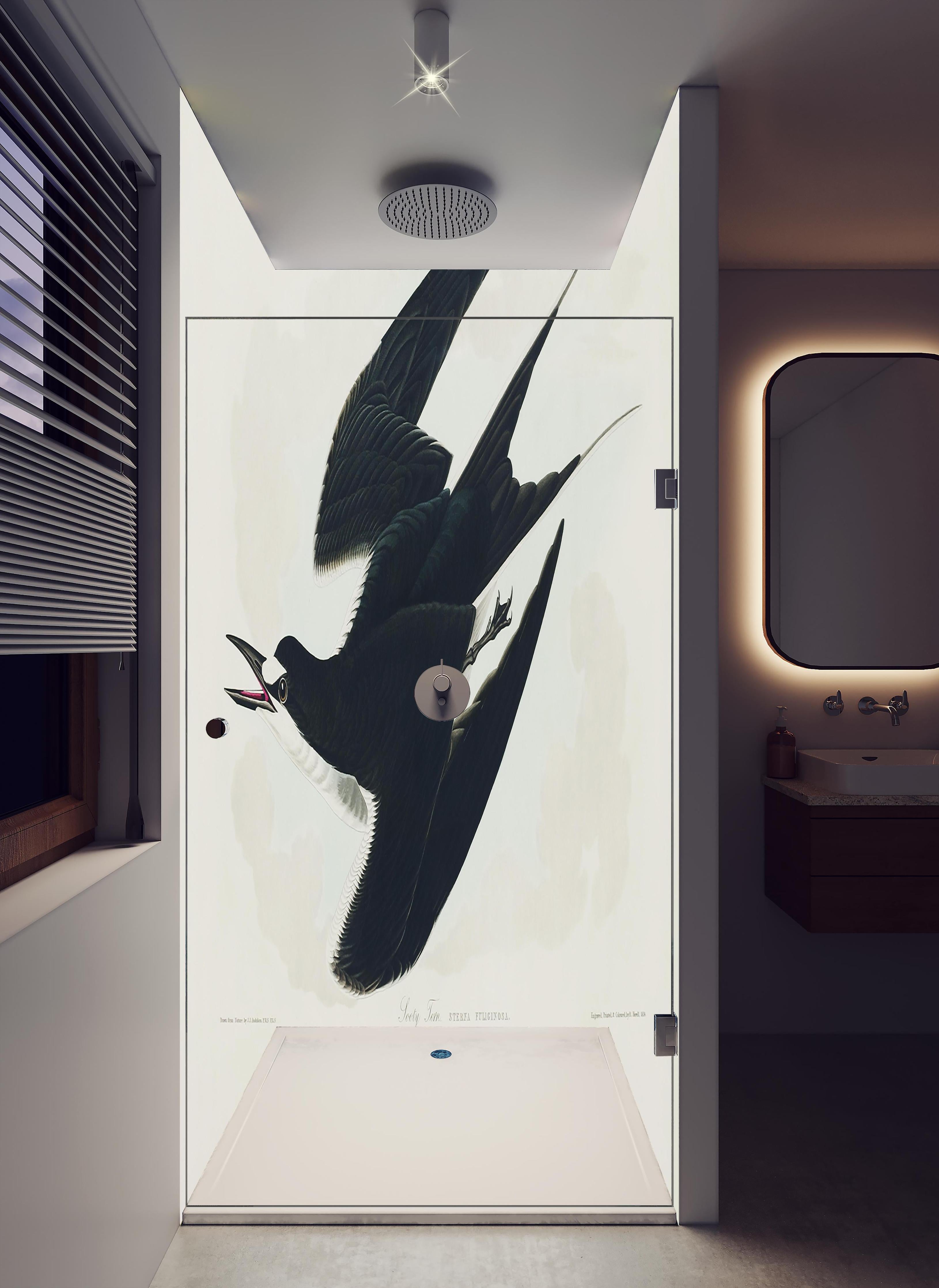 Duschrückwand - Rußseeschwalbe Portrait - John James Audubon in hellem Badezimmer mit Regenduschkopf - zweiteilige Eck-Duschrückwand