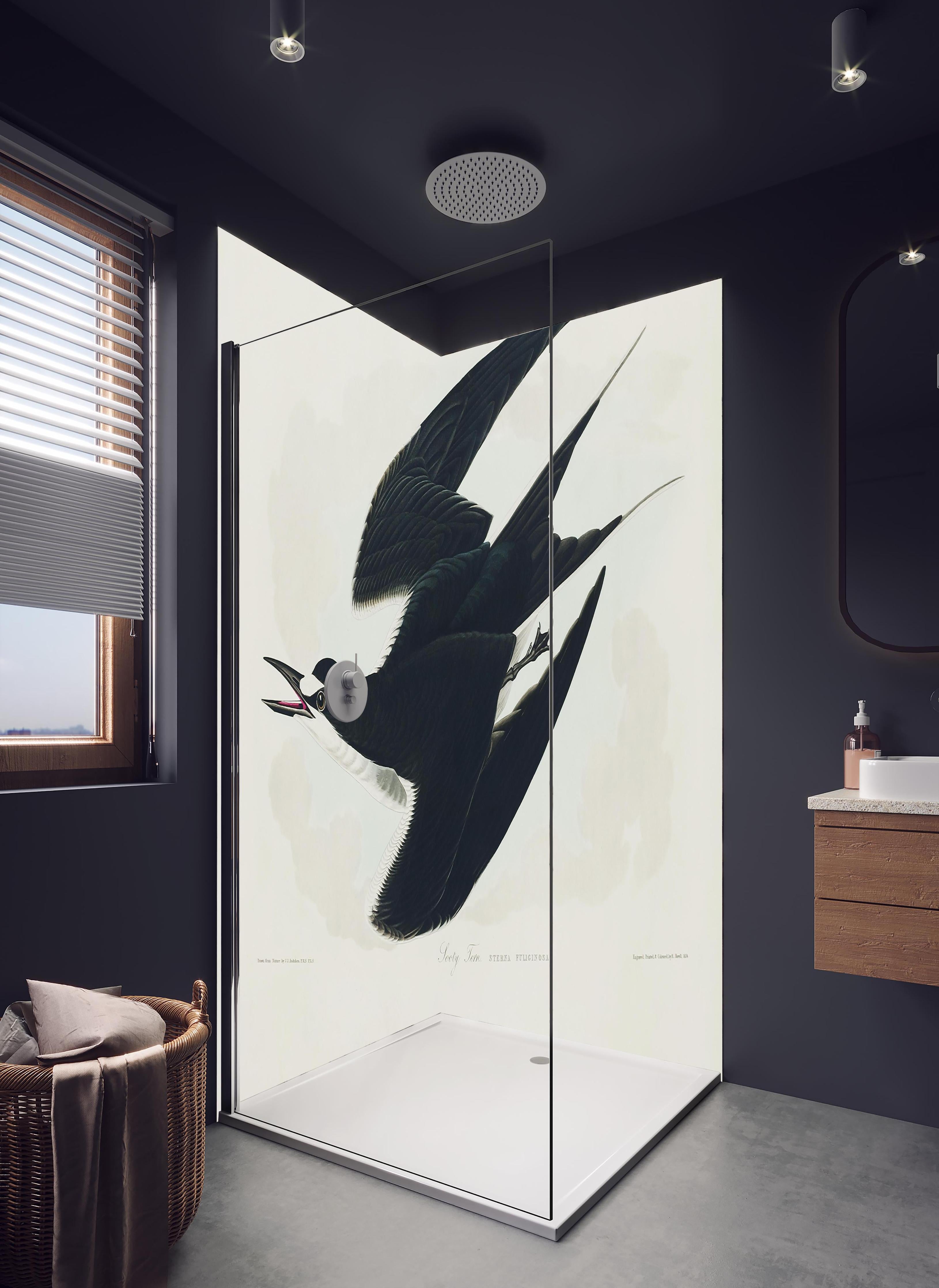 Duschrückwand - Rußseeschwalbe Portrait - John James Audubon in hellem Badezimmer mit Regenduschkopf - zweiteilige Eck-Duschrückwand