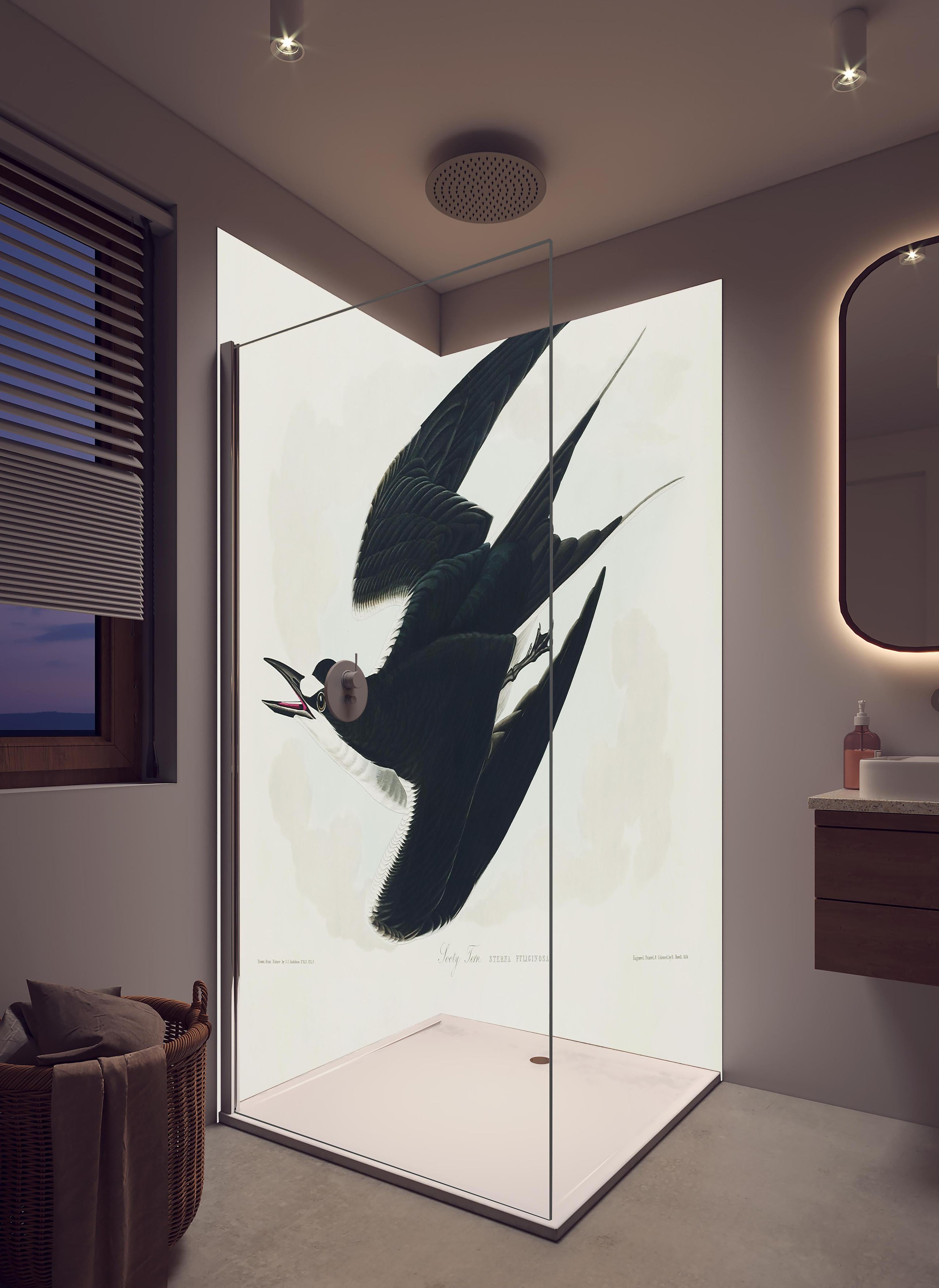 Duschrückwand - Rußseeschwalbe Portrait - John James Audubon in hellem Badezimmer mit Regenduschkopf - zweiteilige Eck-Duschrückwand