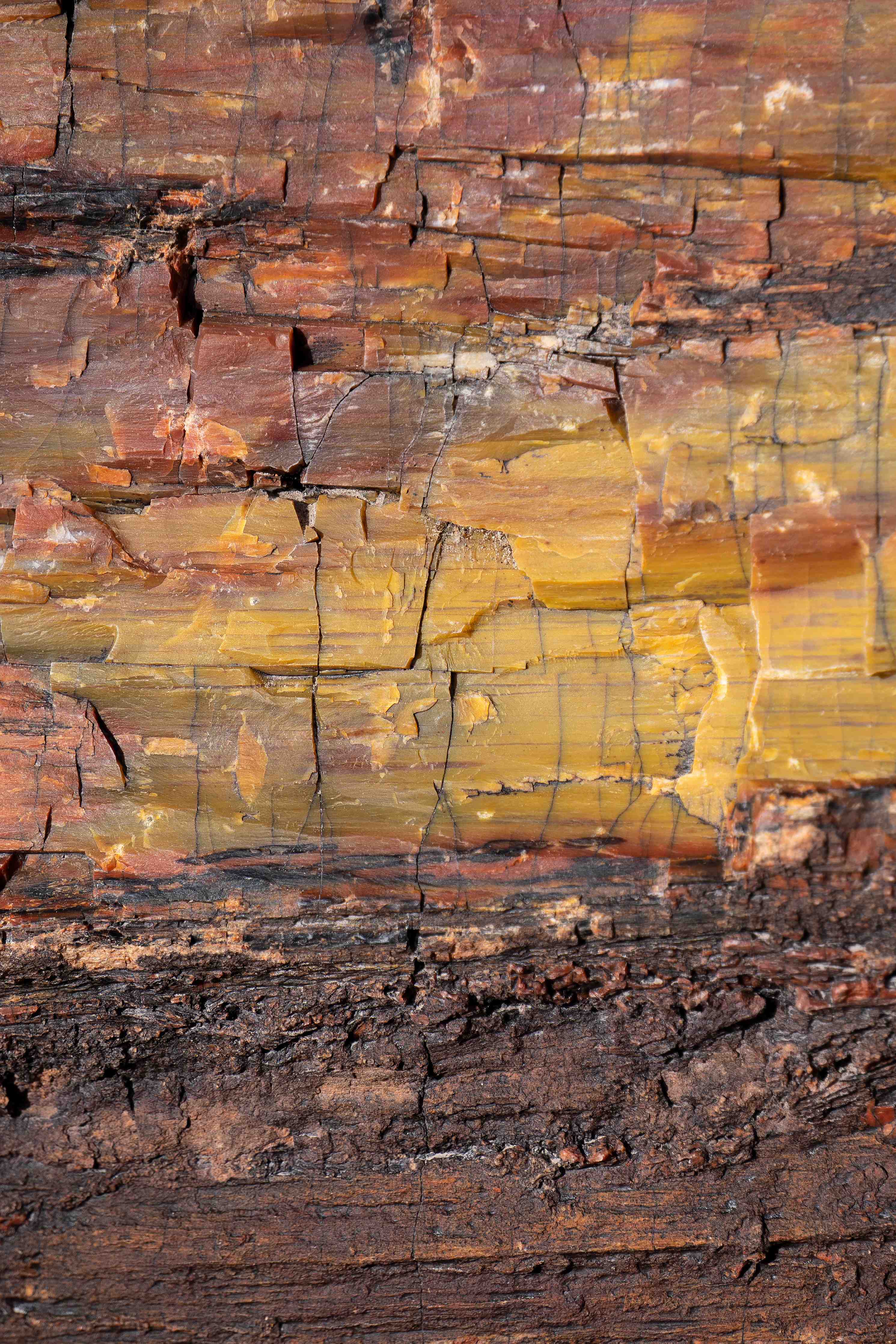 Duschrückwand-Rustikale Holzstruktur mit warmen Erdtönen